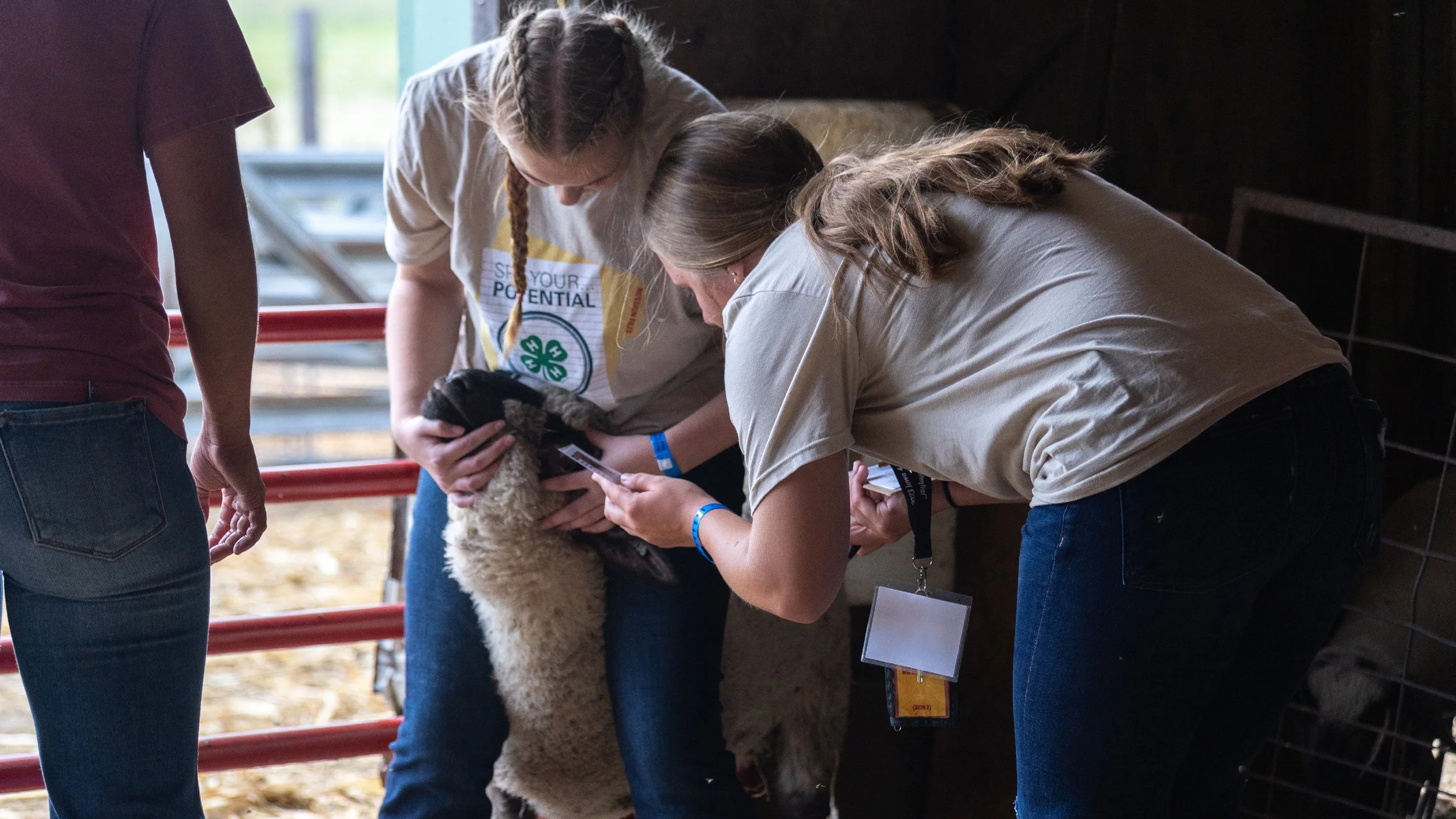 4H roundup artboards-01.jpg