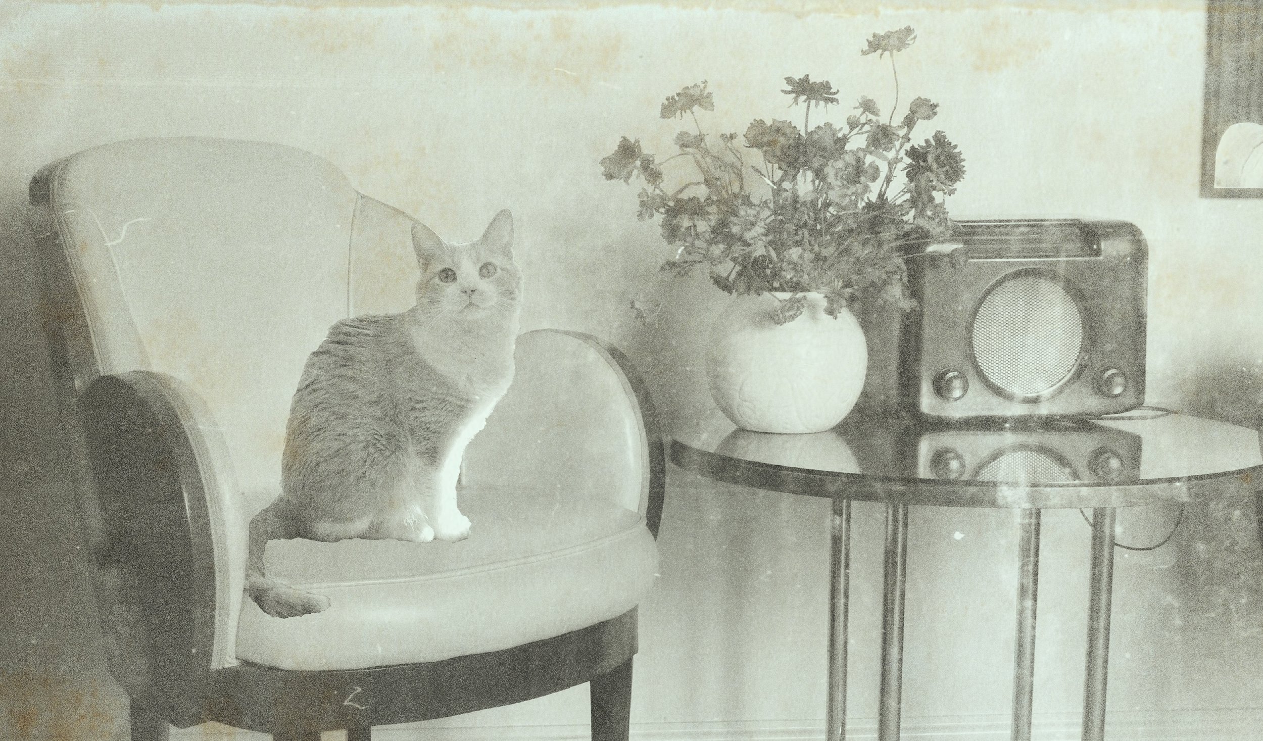 Vintage Butters-01.jpg