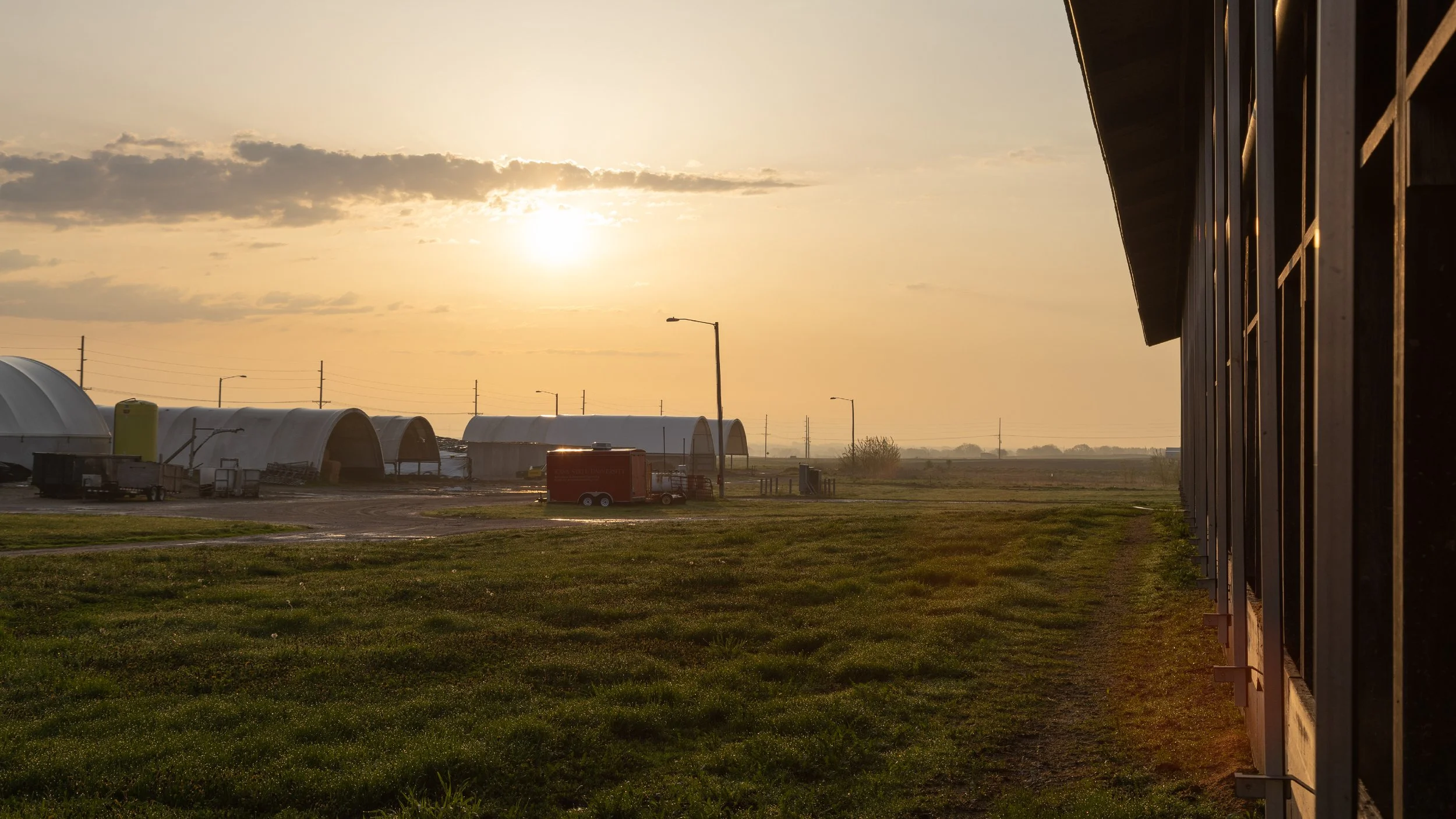 Stress on the Farm-04.jpg