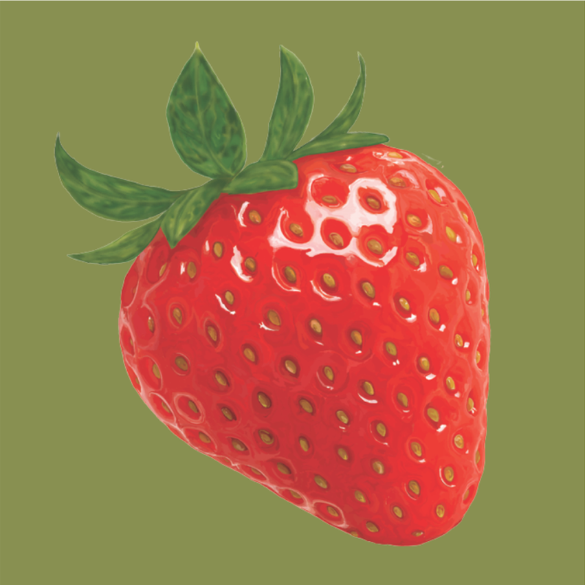 Strawberry Print by Shan Olesa