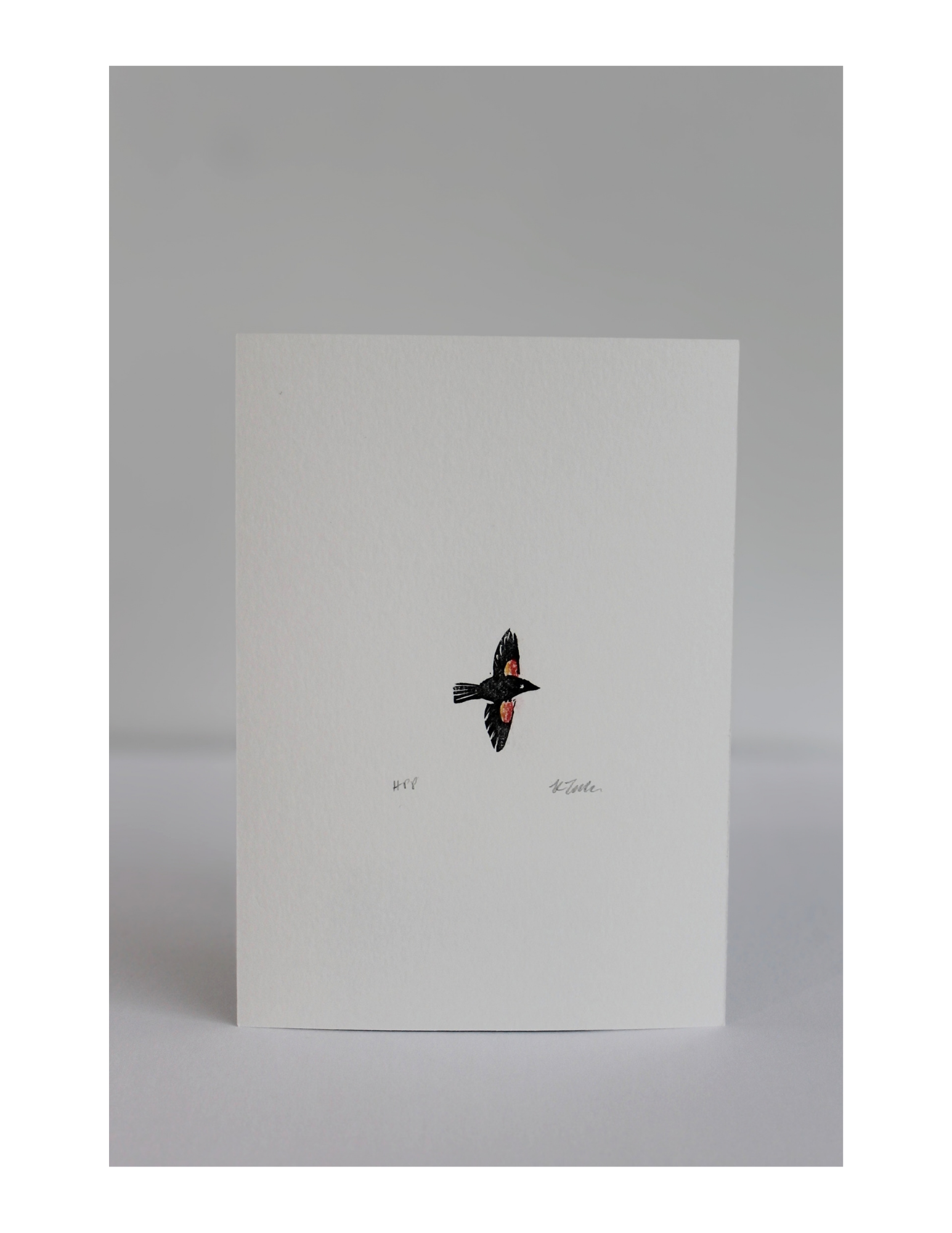 Red-Winged Blackbird by Kaitlin Takaoka