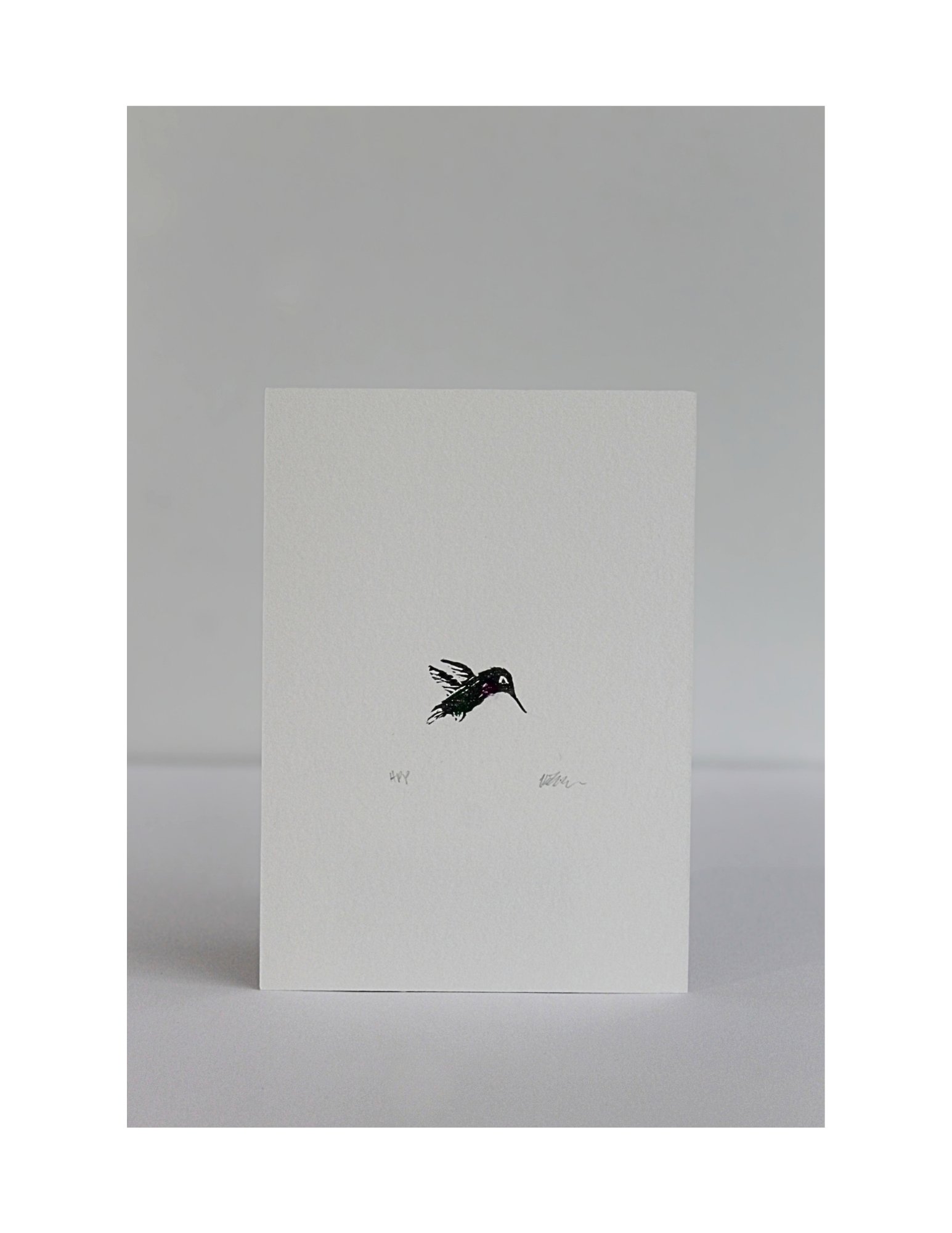 Anna's Hummingbird by Kaitlin Takaoka
