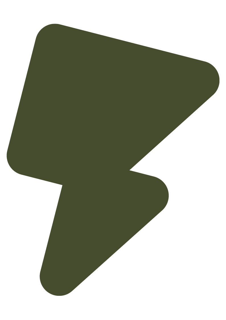 A dark green lightning bolt icon.