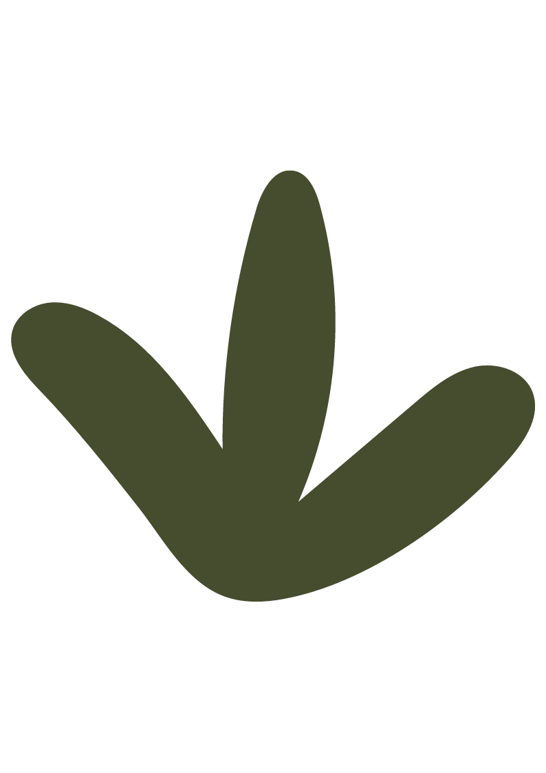 Silhouette of a hand making a peace sign with two fingers raised