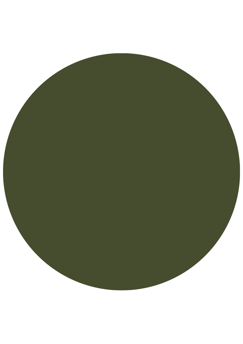 A solid dark green circle on a black background.