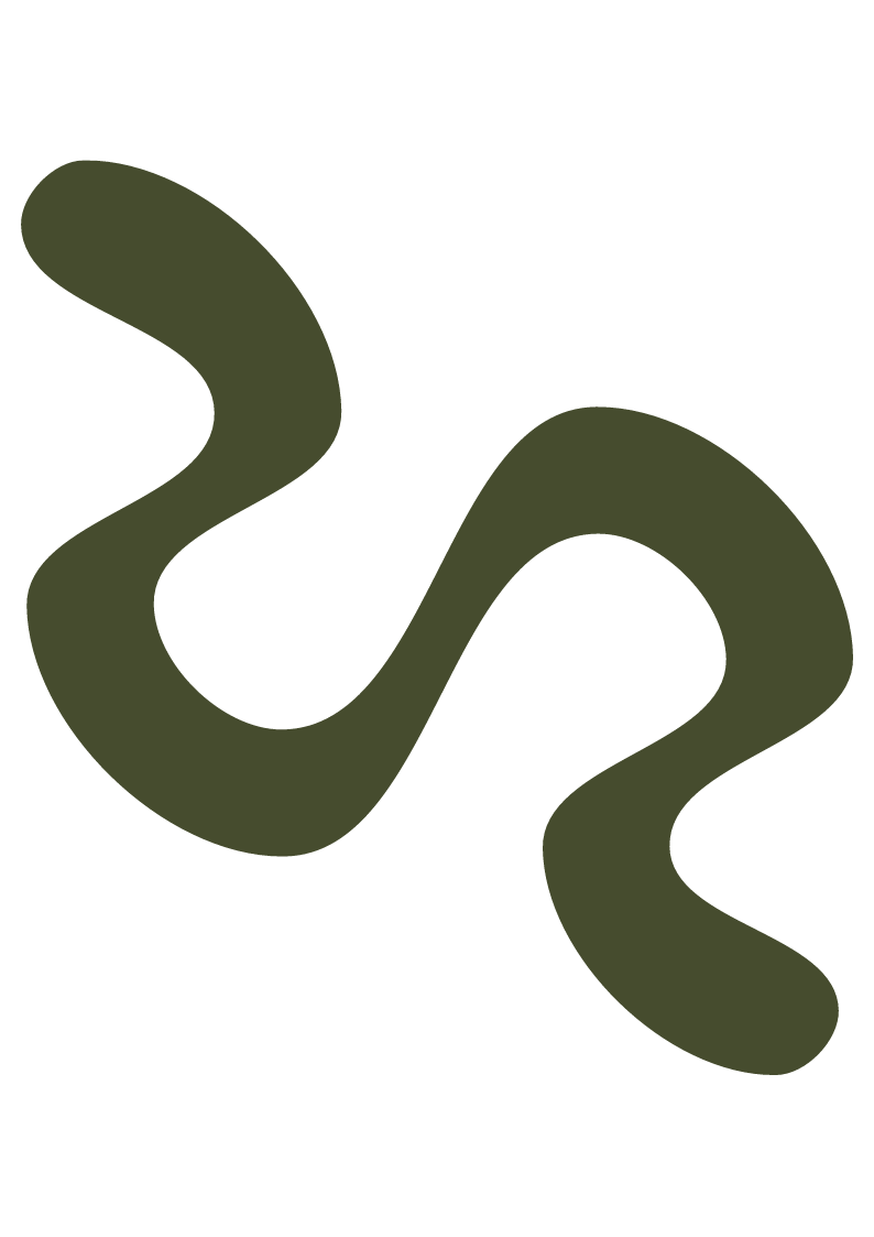 Abstract image with a black background and a wavy, dark olive-green line resembling a snake.