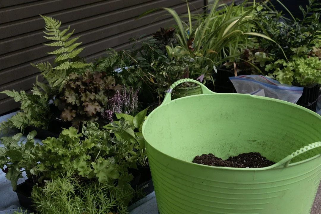 A green plastic bucket filled with soil sitting on a surface with potted plants and herbs in the background.