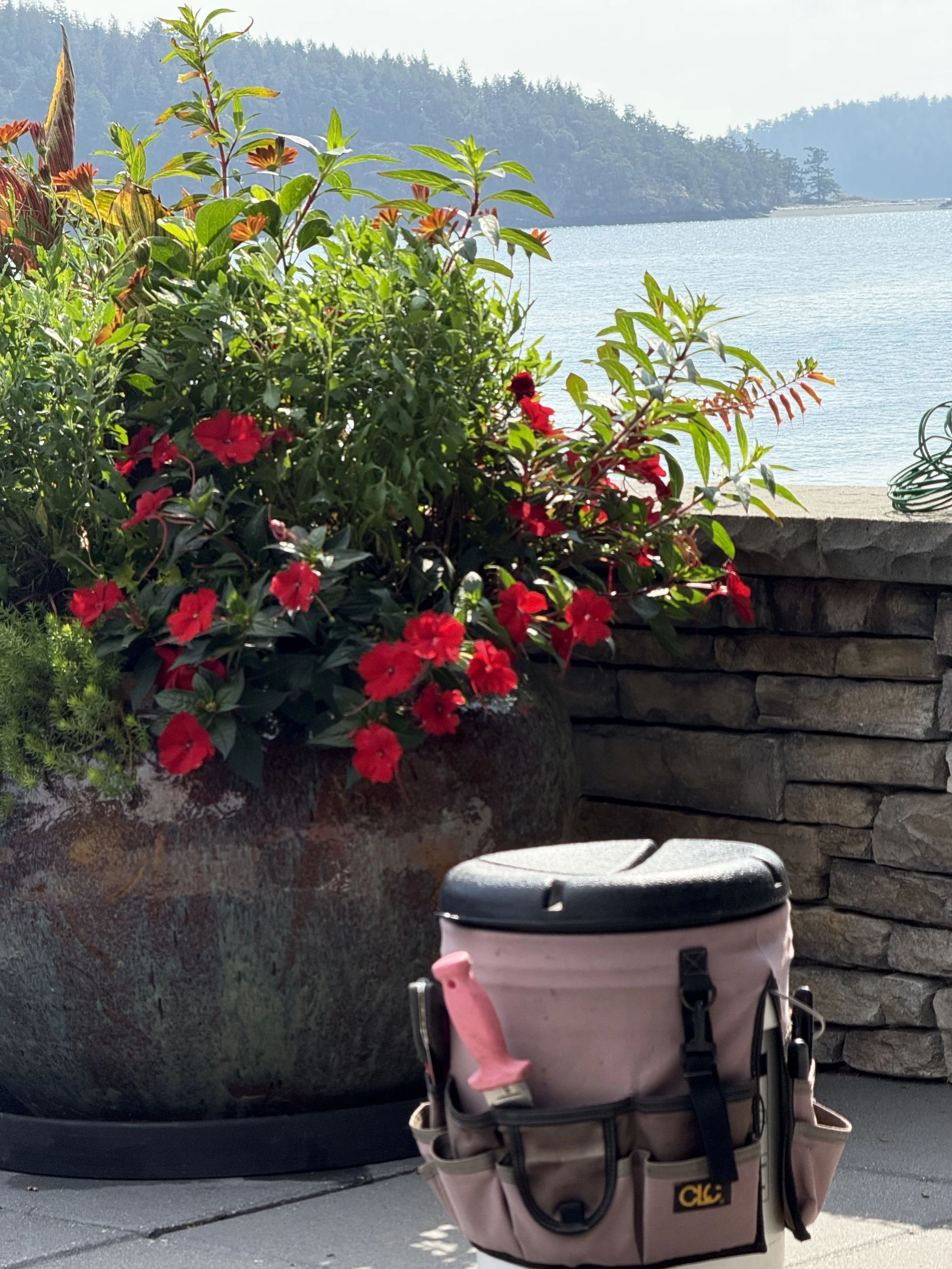 A large planter with vibrant red flowers and green foliage near a body of water, a stone wall, and a pink bag with a pink water bottle inside in the foreground.
