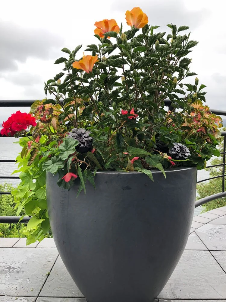 A large gray pot filled with a variety of colorful flowers and green foliage, situated outdoors on a balcony or patio with a railing and cloudy sky in the background.