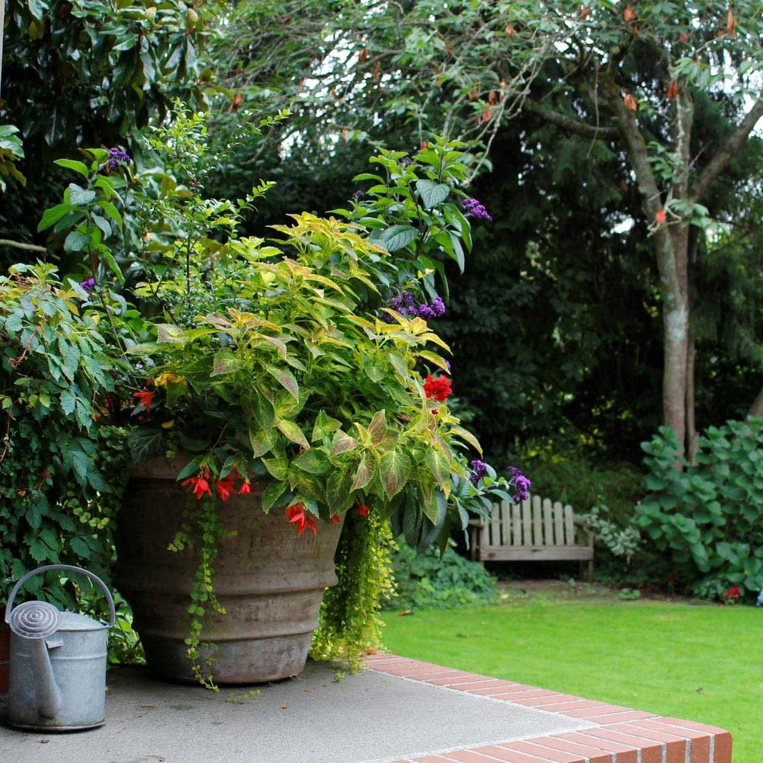 Tips for Choosing Your Next Garden Container