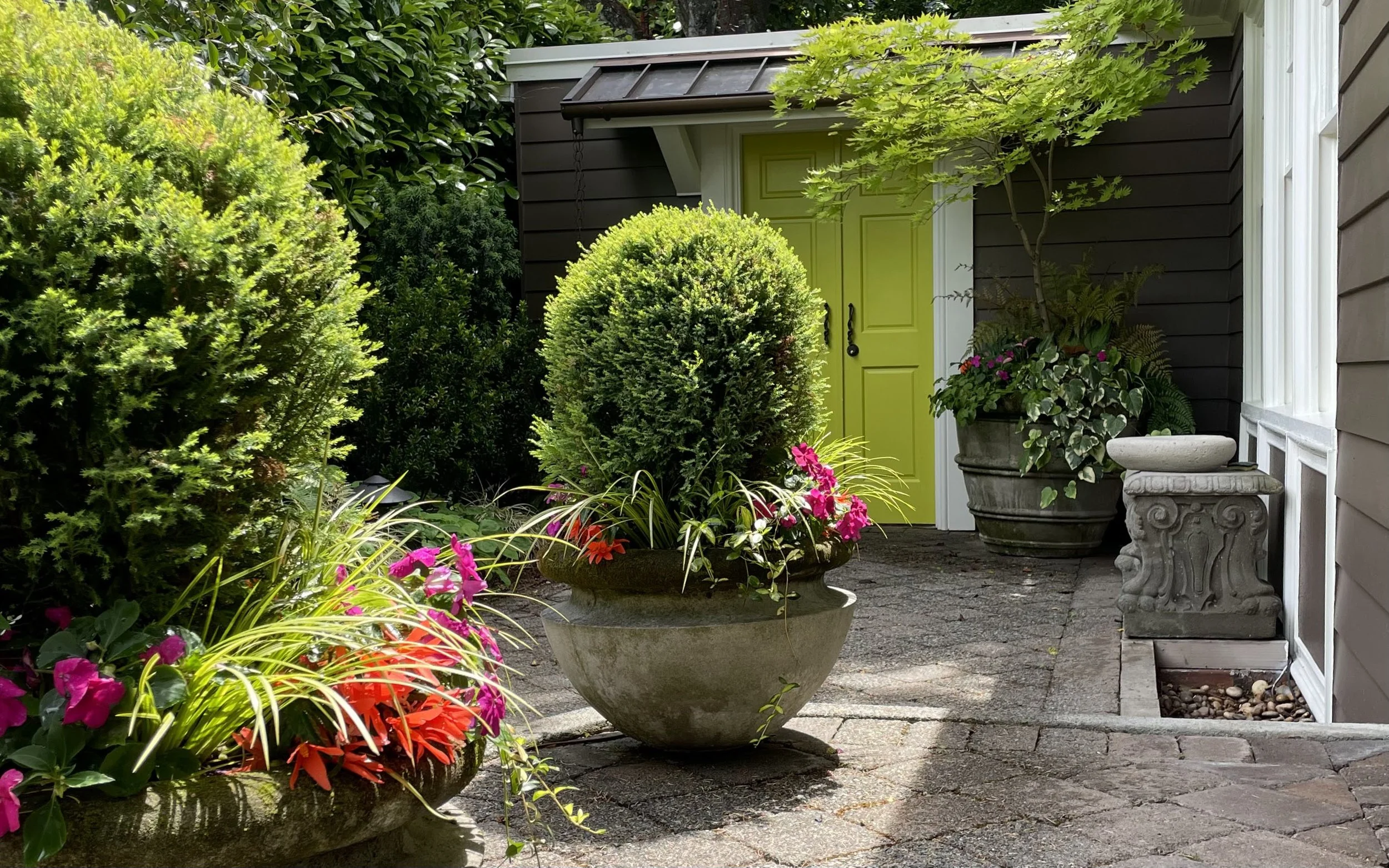 Designing with Patio Trees 