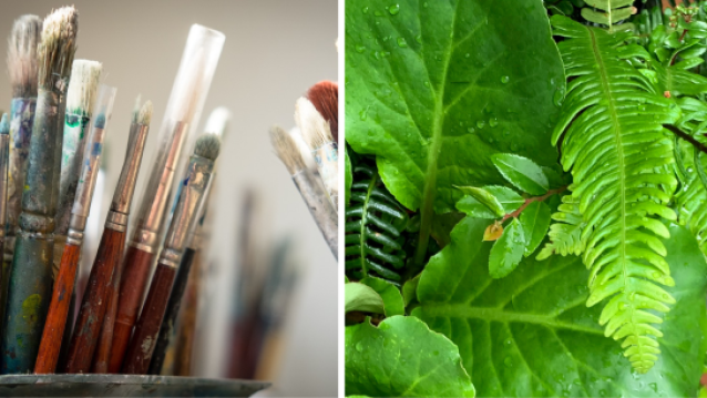 Paint brushes in a jar, and close up of bold, fine, and serrated leaves all supporting texture