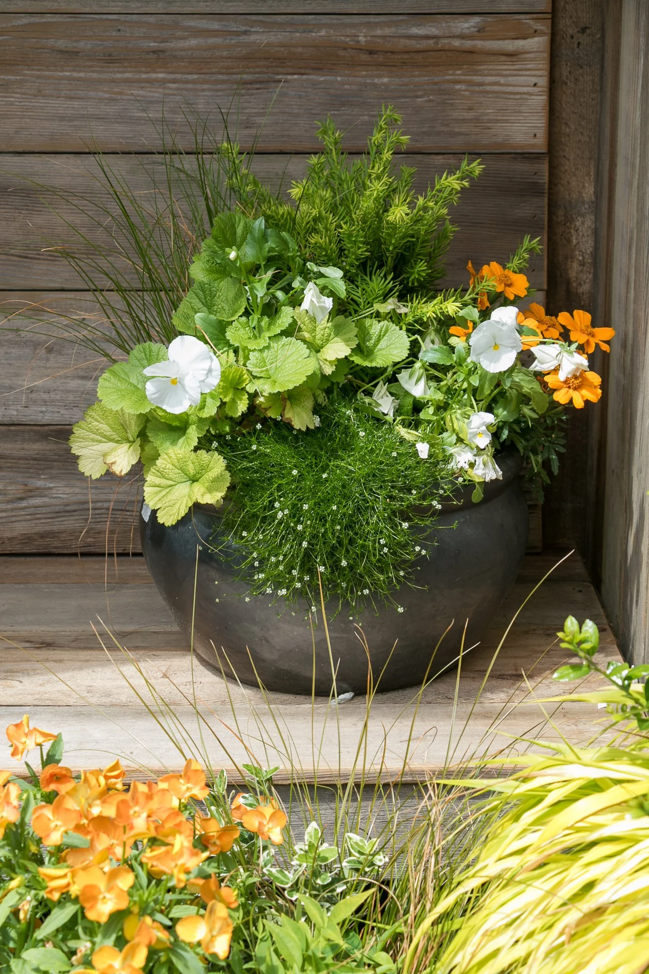A dark round planter with various green plants and flowers, placed on wooden decking against a wooden fence background.