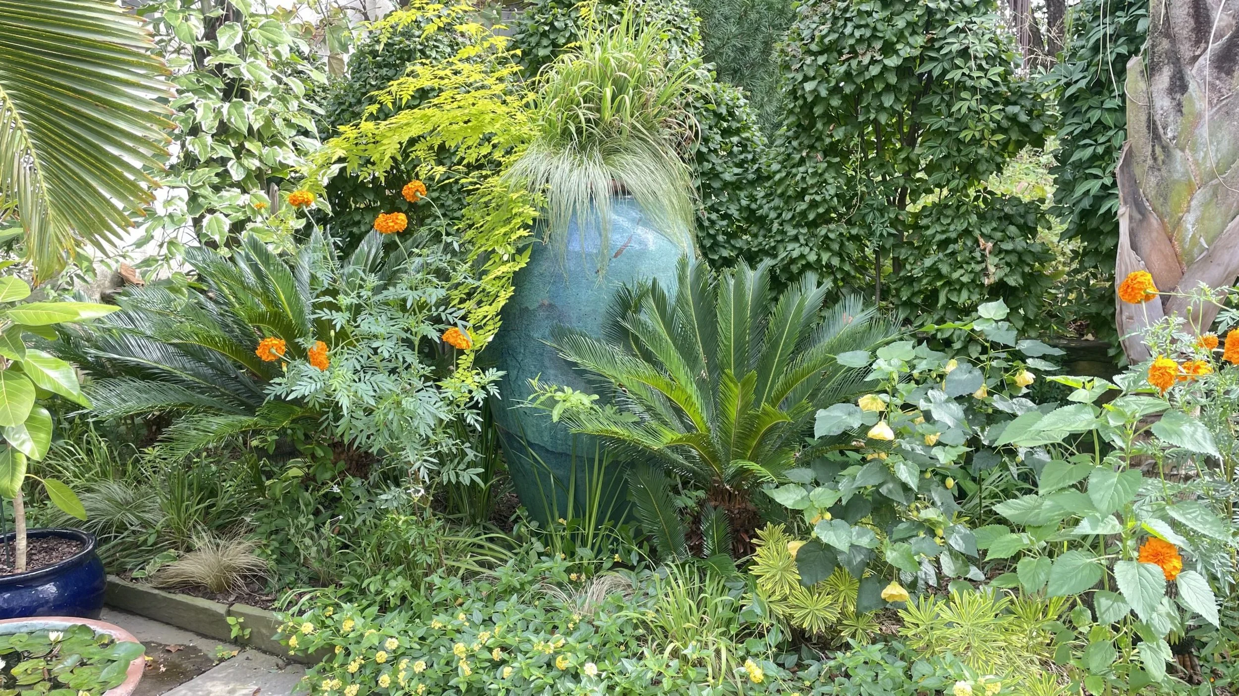 Beauty, the Brain, and Container Gardening