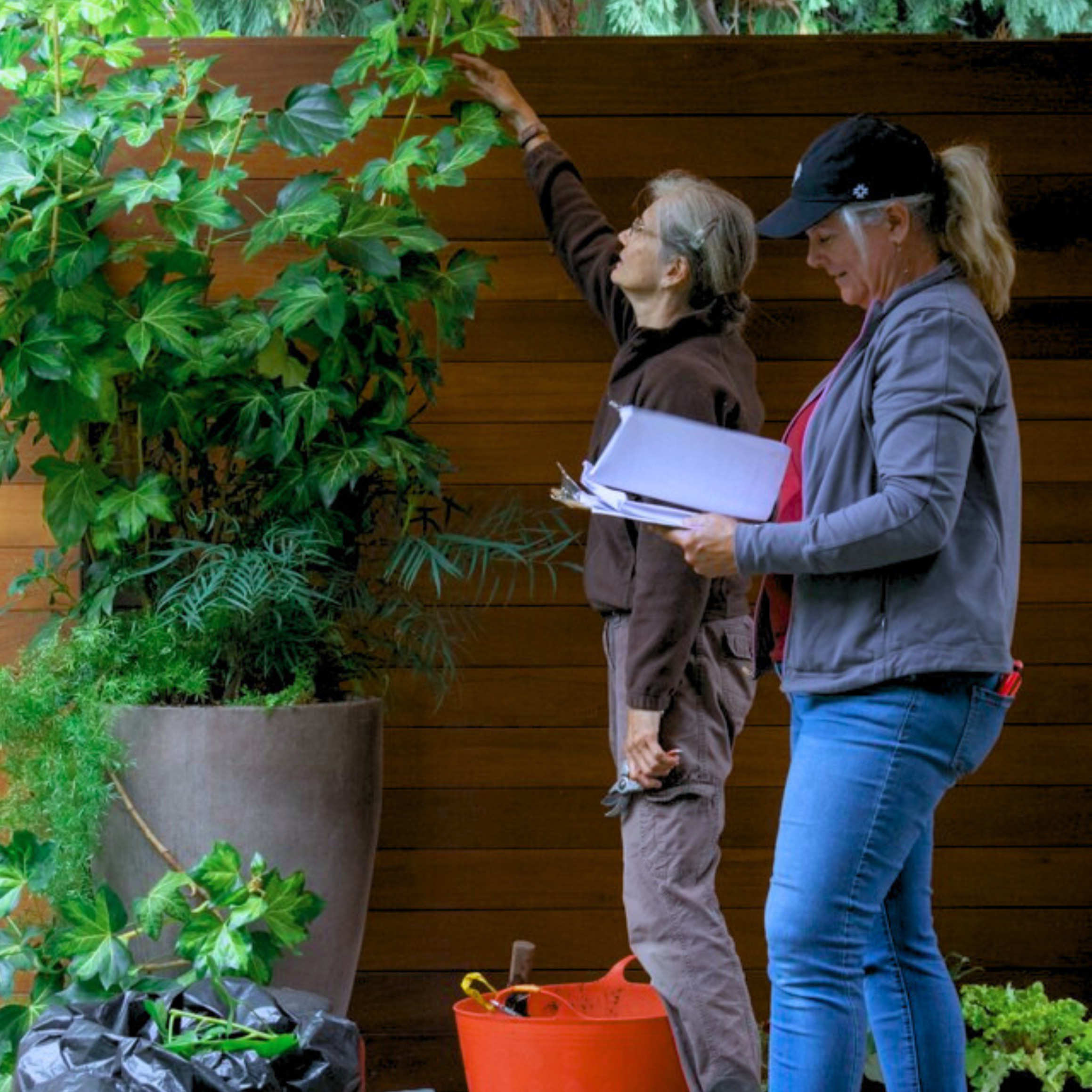 Two women, one elderly and one middle-aged, standing outdoors in front of a wooden fence, engaged in gardening. The elderly woman is reaching into a large pot surrounded by various green plants, while the younger woman holds papers and looks at the plants. Both are dressed casually, and the younger woman is wearing a baseball cap.
