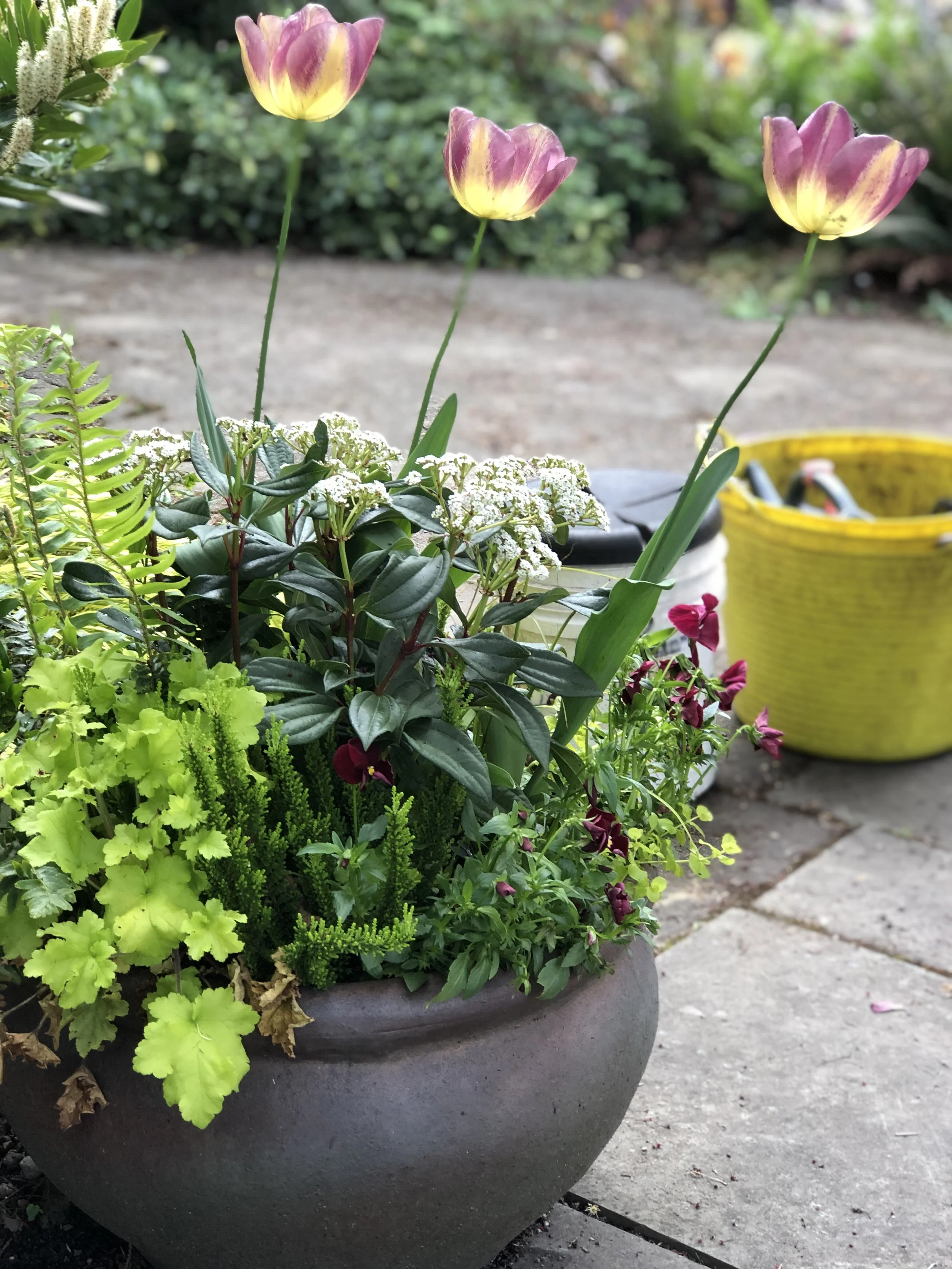A large gray flowerpot filled with various colorful plants and flowers, including yellow and purple tulips, white flowers, bright green foliage, and some pink blooms, situated outdoors on a paved path.