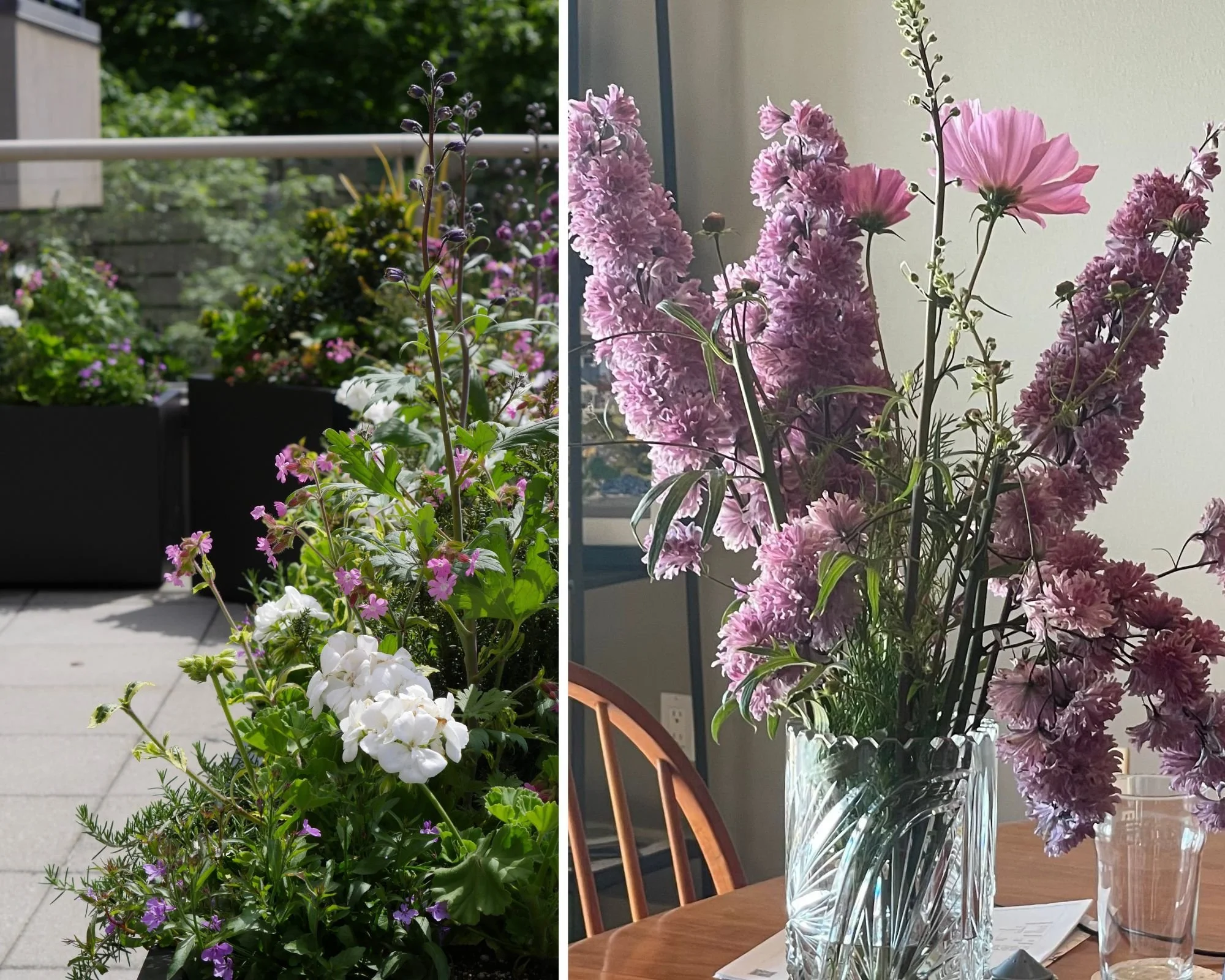 Photo of rooftop garden with flowering plants in containers alongside a photo of a vase with some of the flowers cut from the plantings and placed in a vase on a table