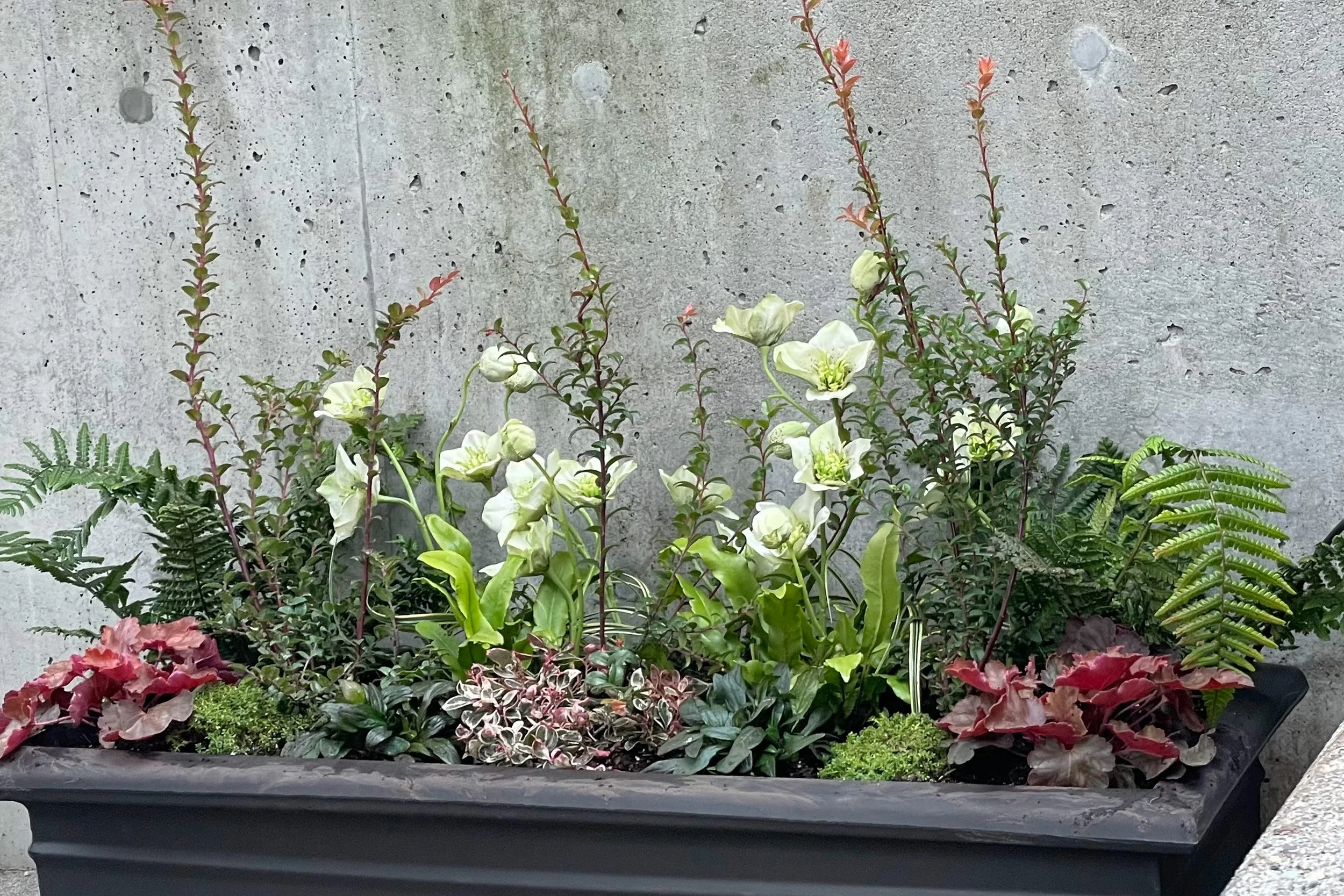 Faux and Fabulous: Stylish Tips for Winter Containers