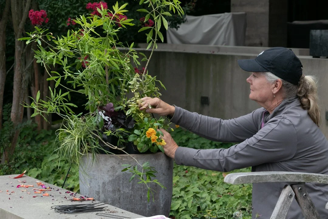 An elderly woman planting or tending to a large potted plant outdoors, wearing a black cap and gray jacket.