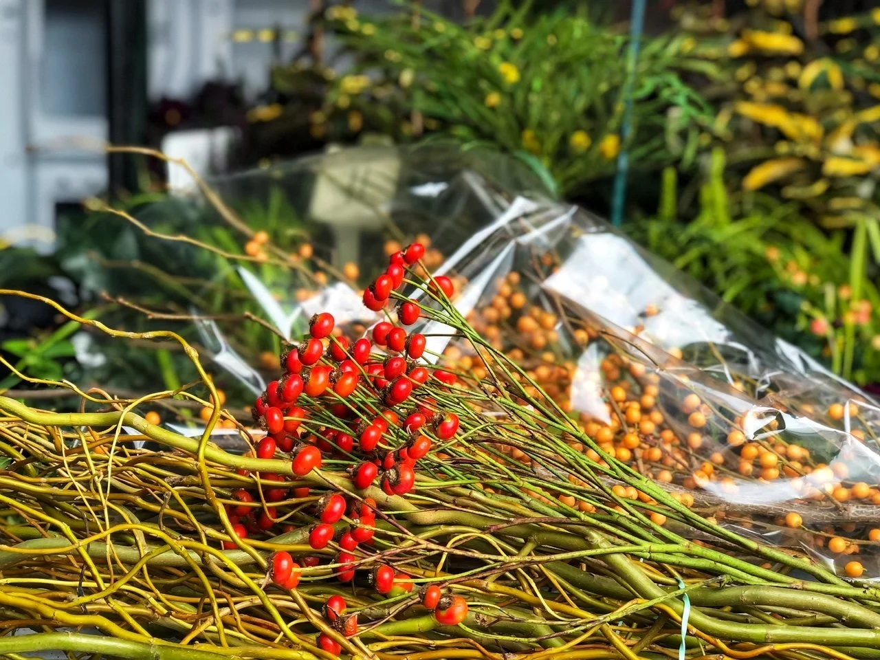 Curly willow branches, rose hips and ilex berries