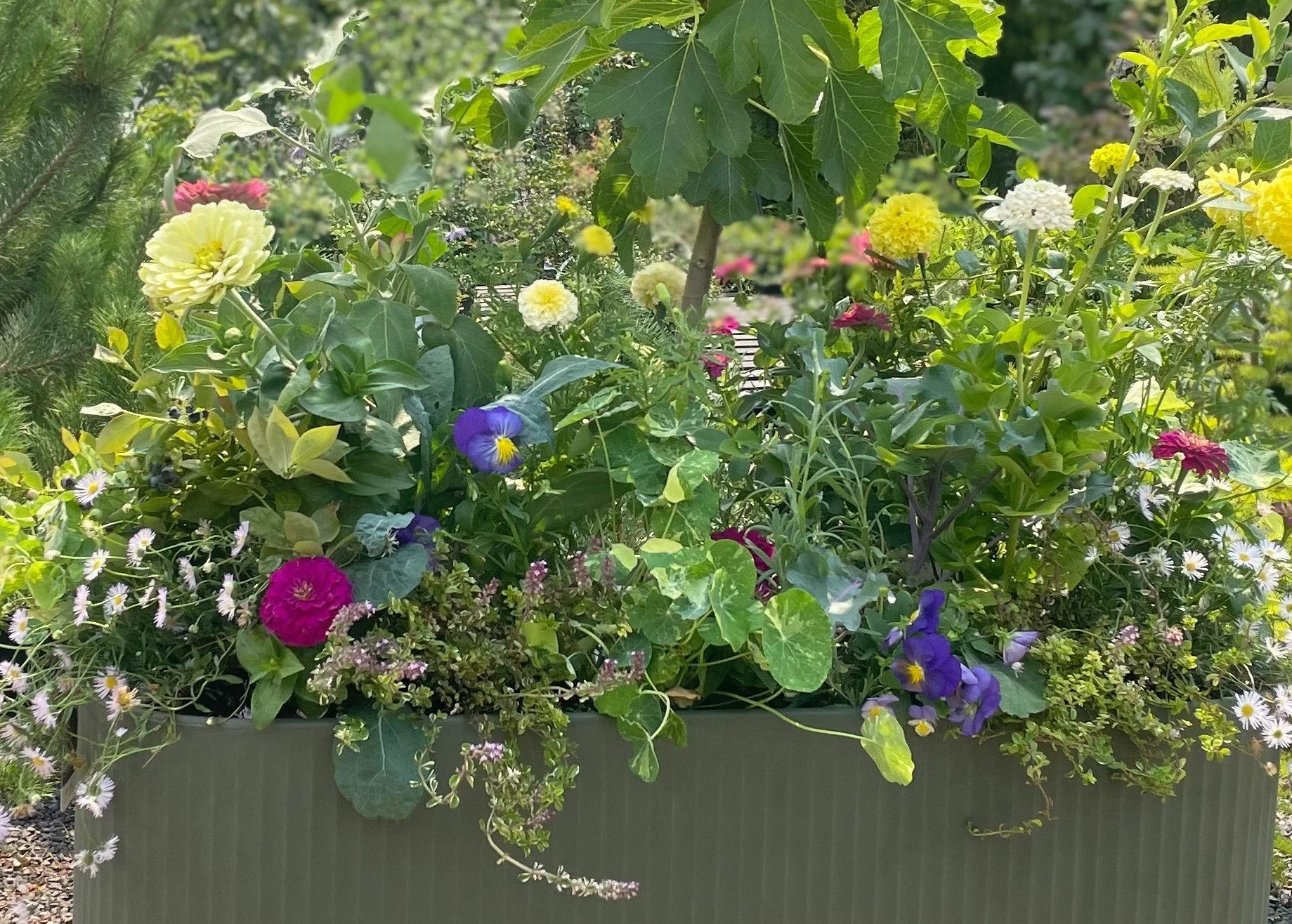 Summer Garden Hack: The Self-Watering Planter