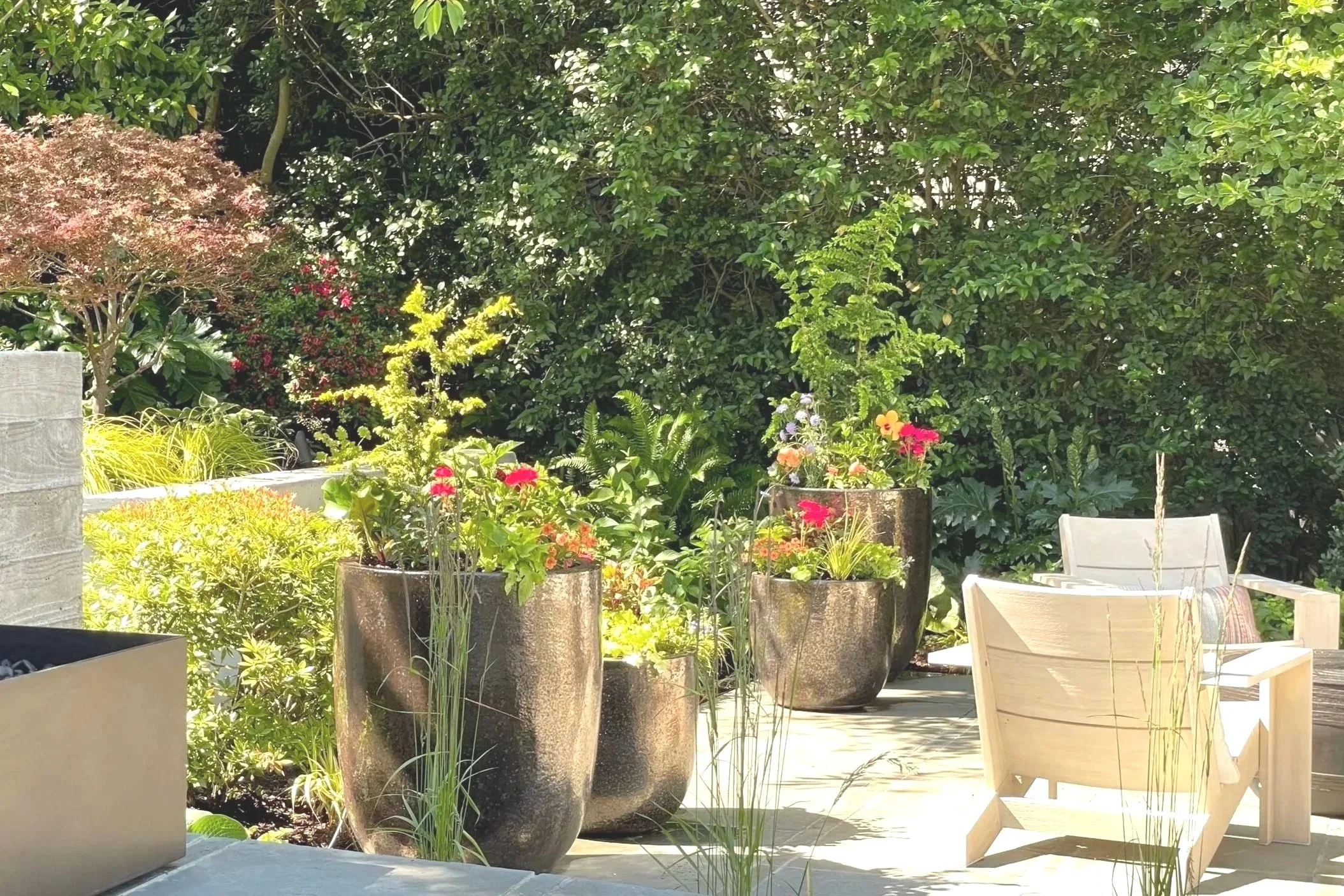 An outdoor patio with large potted plants, a wooden garden chair, and lush green trees and bushes in the background.