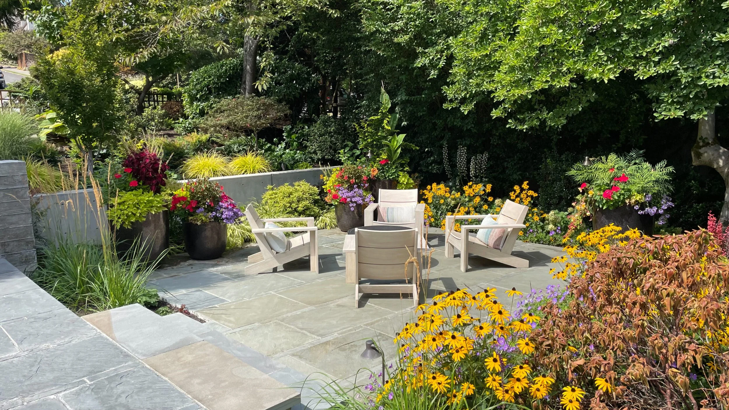 Vacation-Proof Your Pots: How to Keep Your Plants Thriving While You’re Away