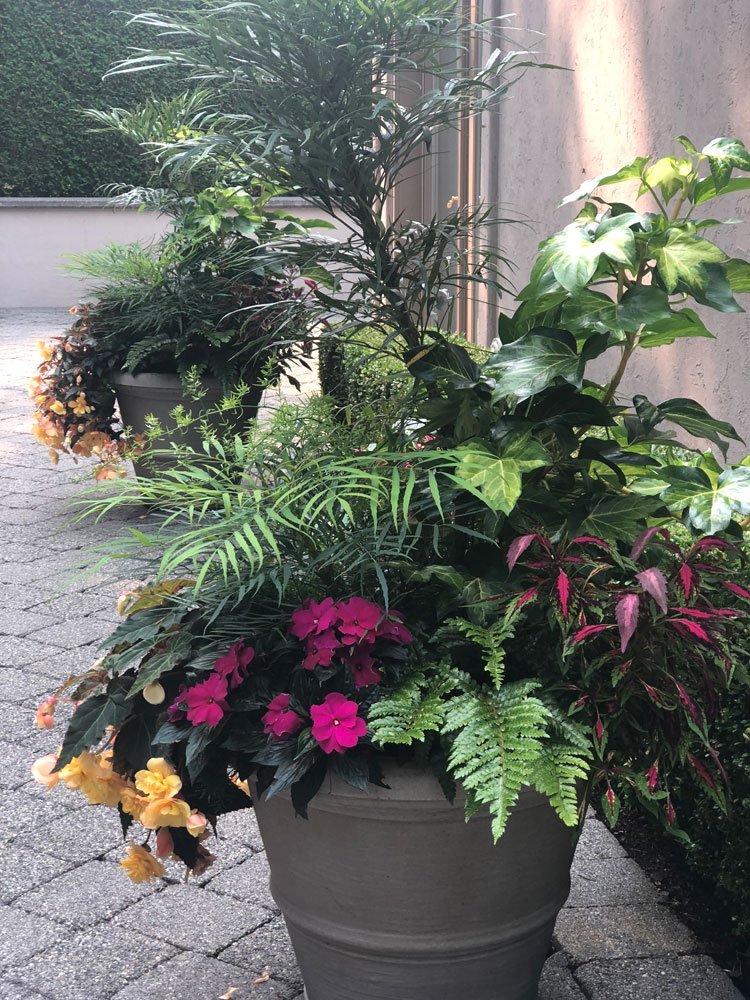 A large gray pot filled with various green plants and colorful flowers, set on a paved outdoor area next to a building wall and window.