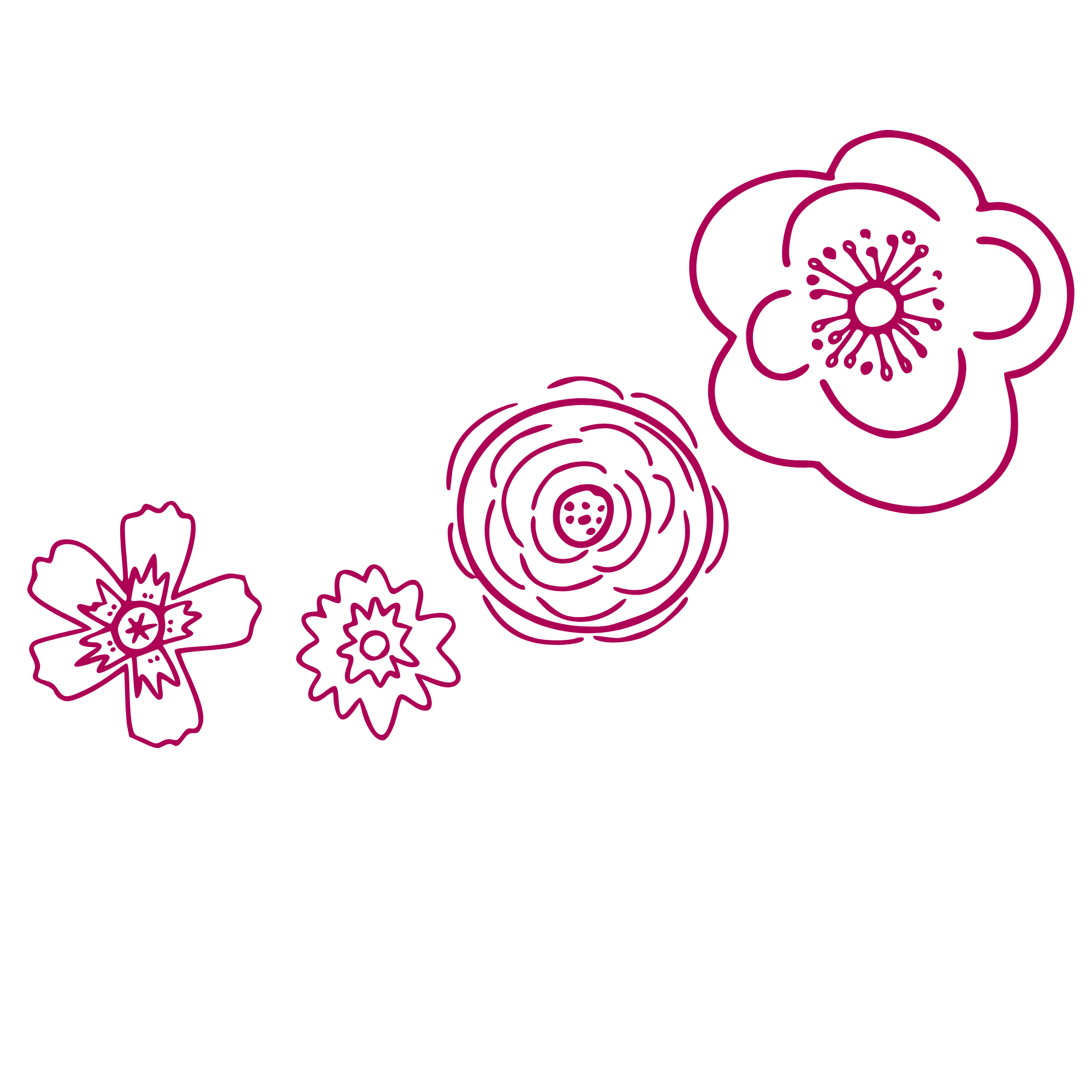 Outline illustration of various flowers with a black background, featuring pink and purple line art of different flower types.
