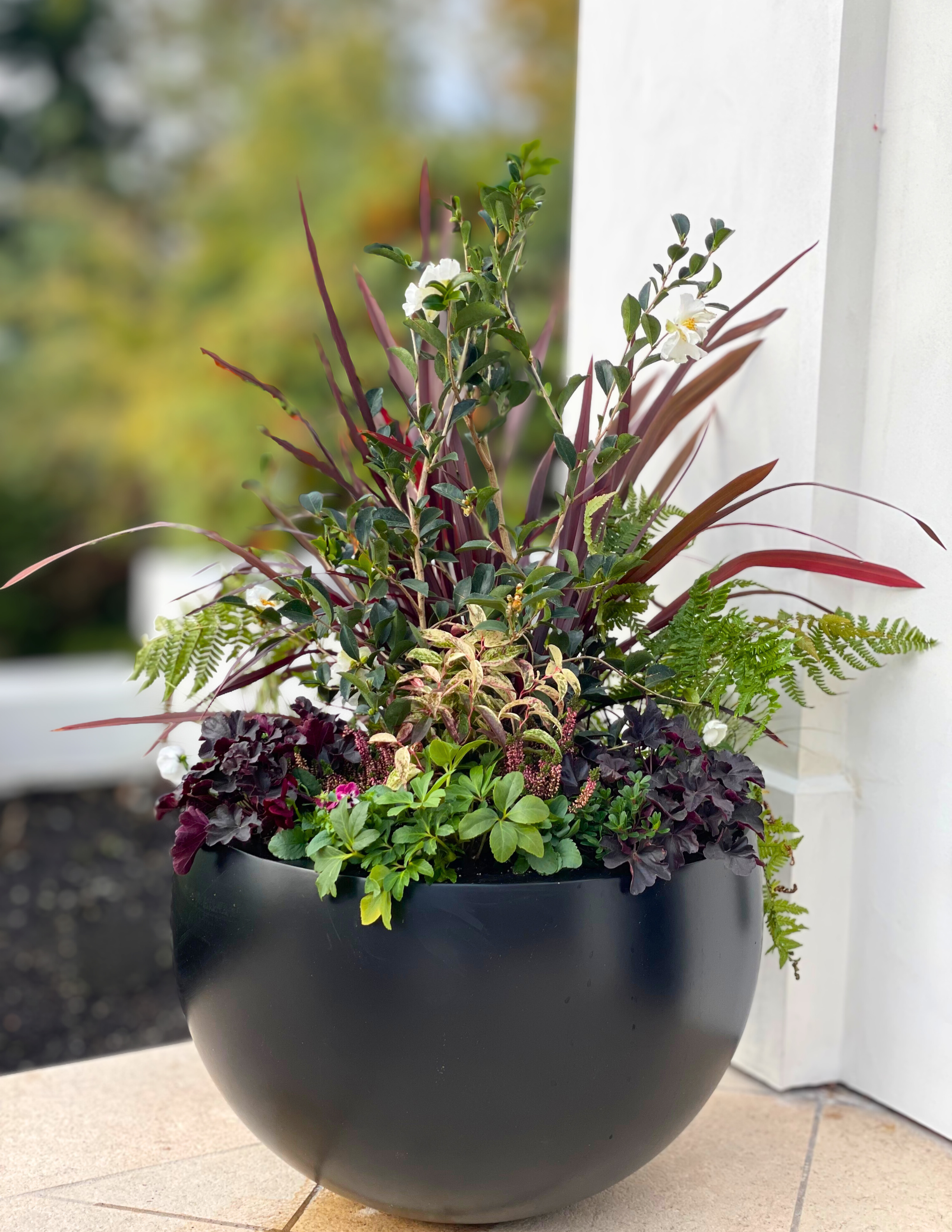 A large black flower pot on a tiled patio contains a variety of green and purple leaves, with some small white flowers blooming on a bushy plant, next to a white wall.