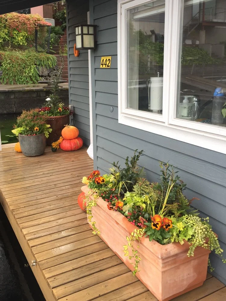 A house porch decorated with flowers, pumpkins, and autumn decor. The house has gray siding, a window, and a black outdoor wall lantern. There are potted plants and stacked pumpkins in front of the house.