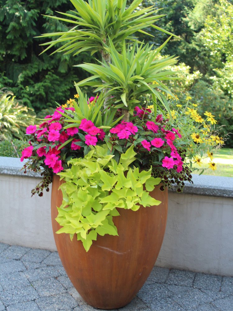 Outdoor large terracotta planter containing pink petunias, yellow daisies, golden ornamental grasses, and green leafy plants, with trees and a stone patio in the background.