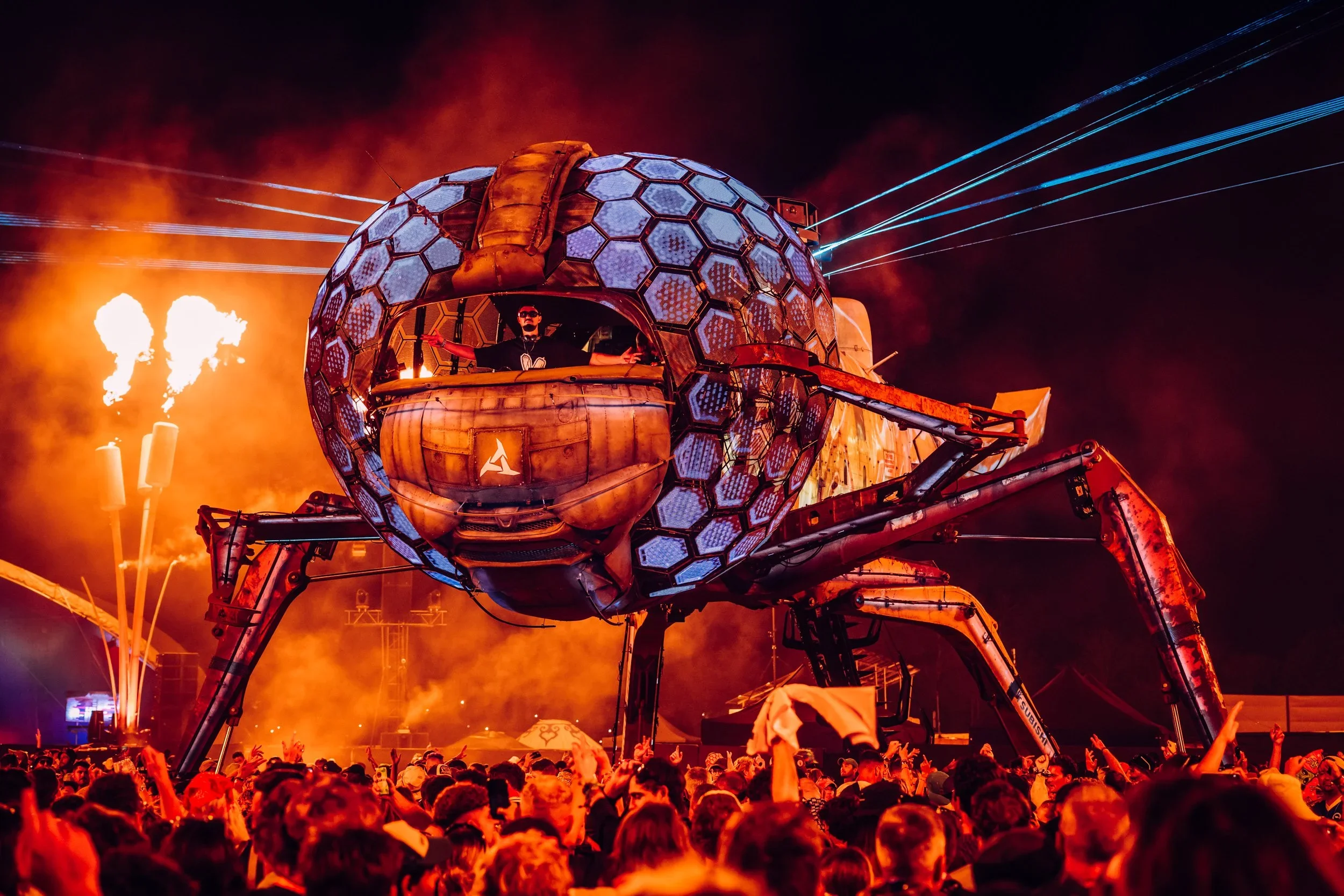Arcadia | Dragonfly | Glastonbury