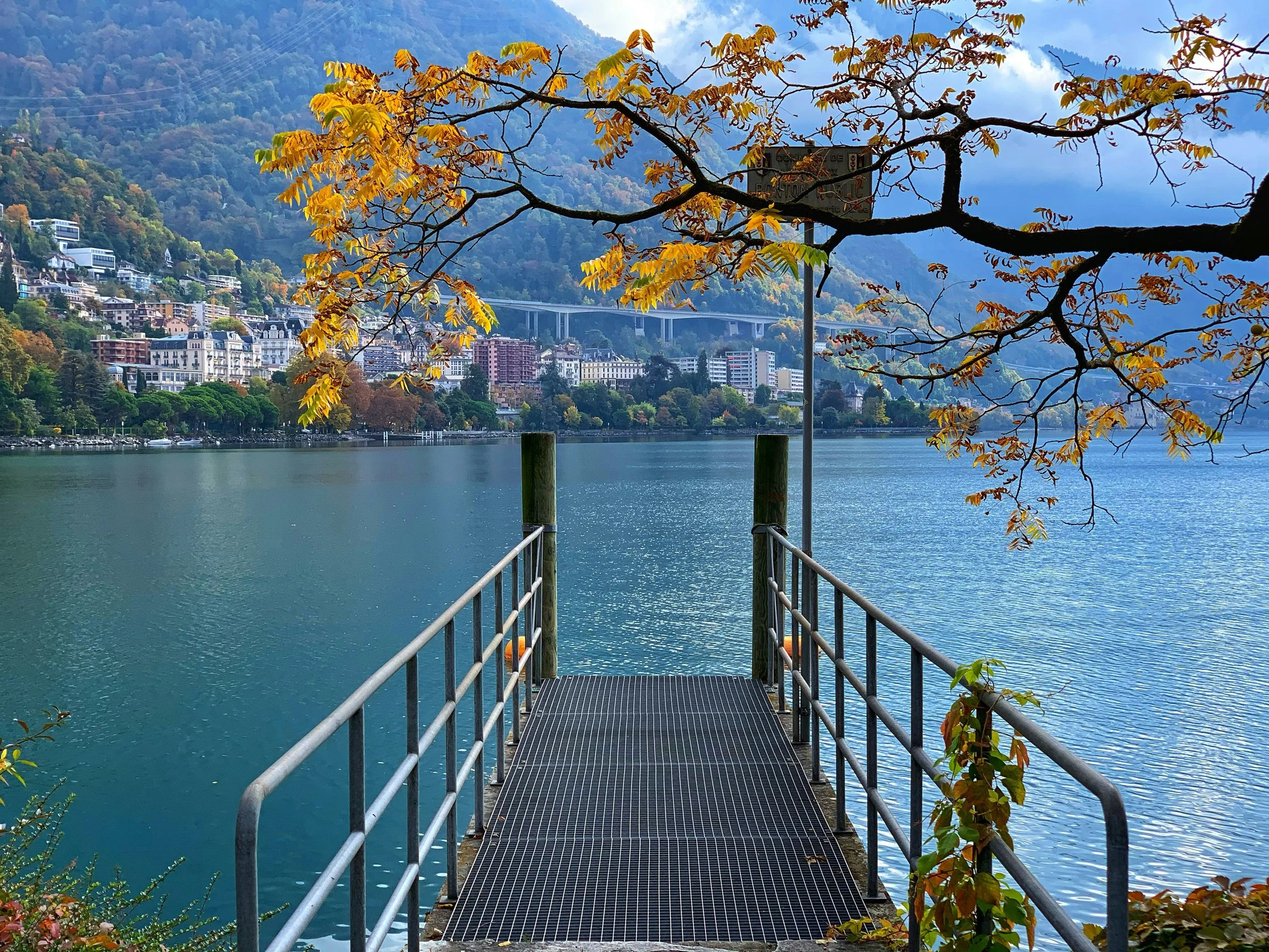 A scenic view of a lake with a metal dock extending over the water, surrounded by autumn foliage, with a cityscape and mountains in the background.