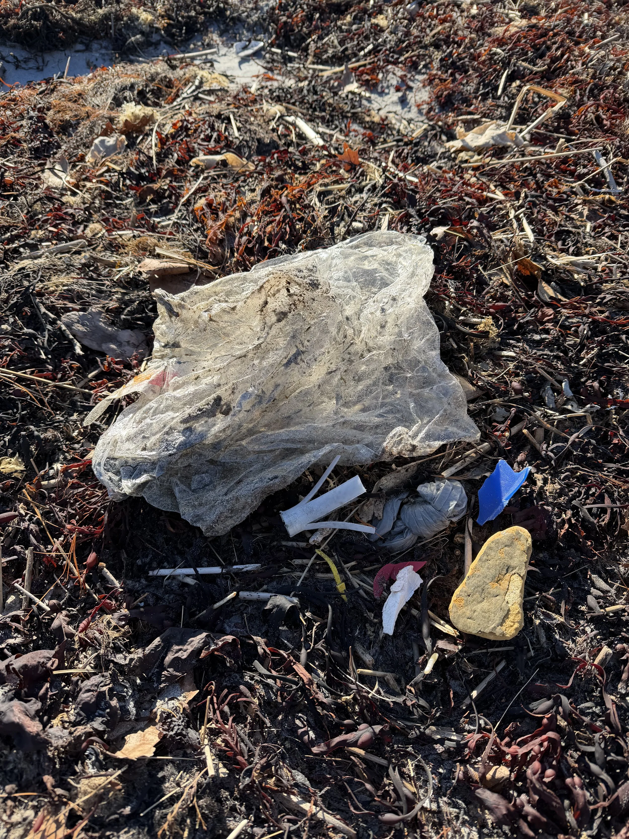 Litter including a crumpled plastic bag, small plastic pieces, a rock, and other debris on dry, reddish-brown soil.