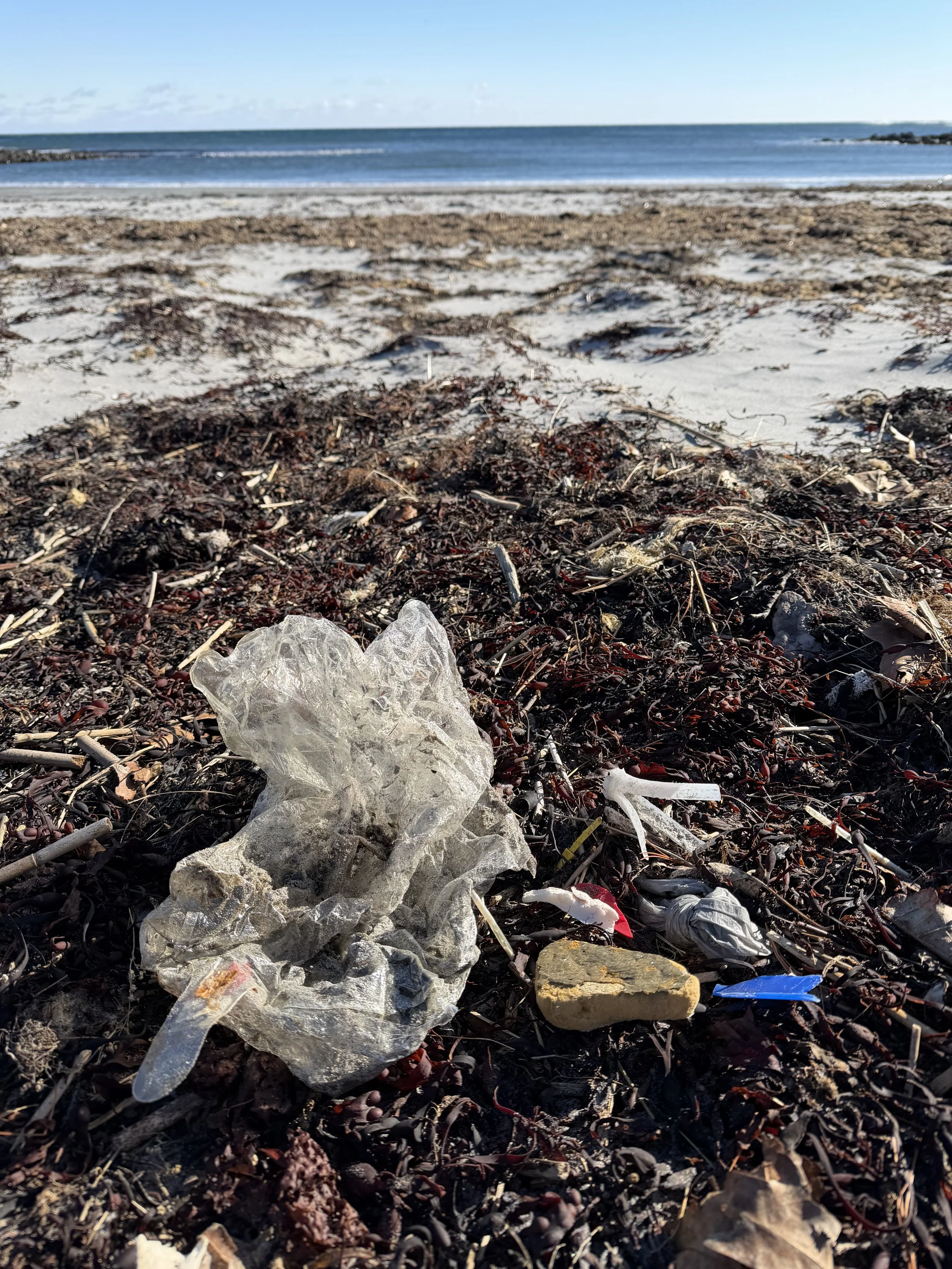 Beach with seaweed, plastic debris, and trash in the foreground, ocean and sky in the background.