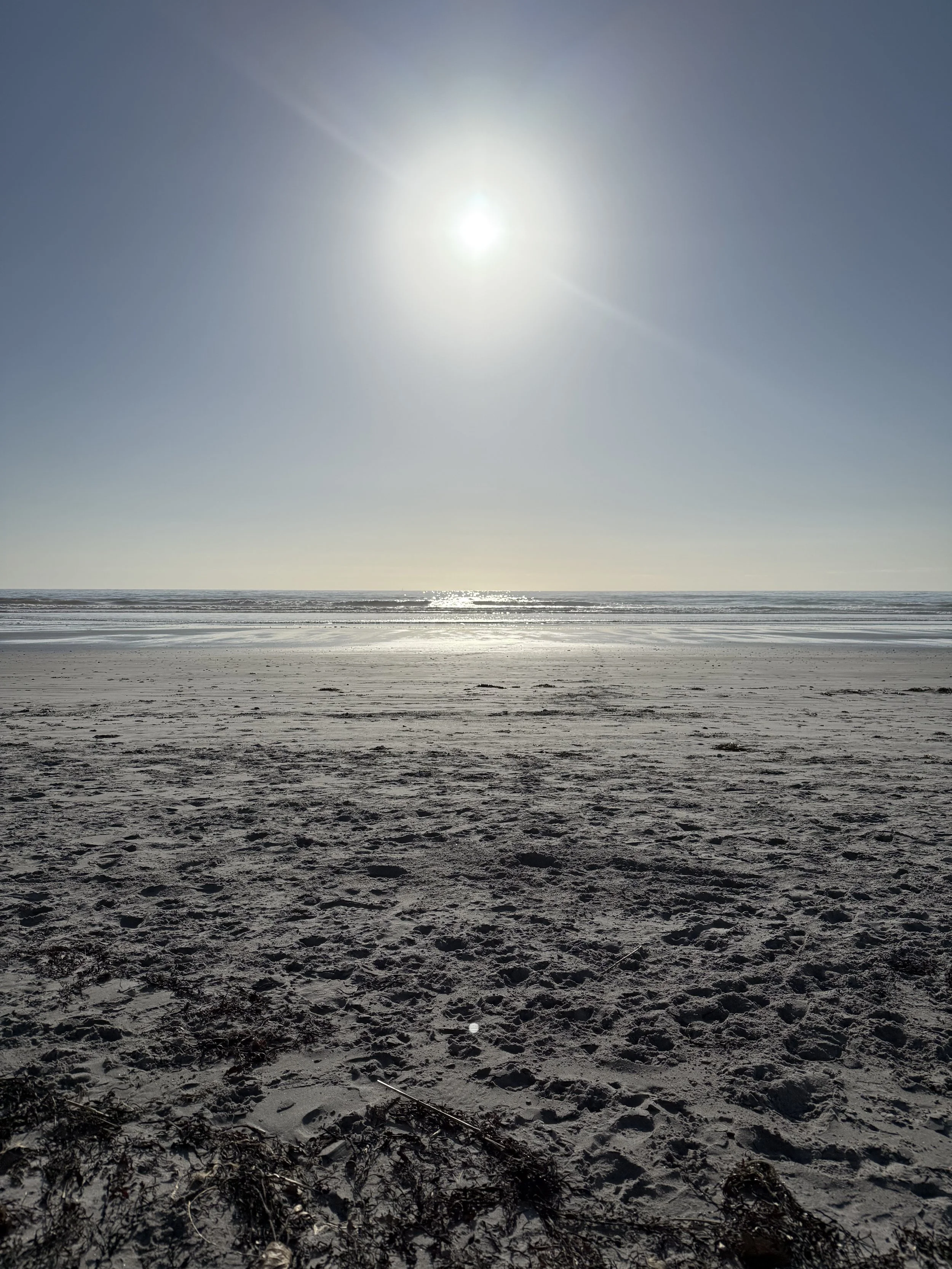Sunny beach with footprints in the sand and calm ocean waves under a clear blue sky.