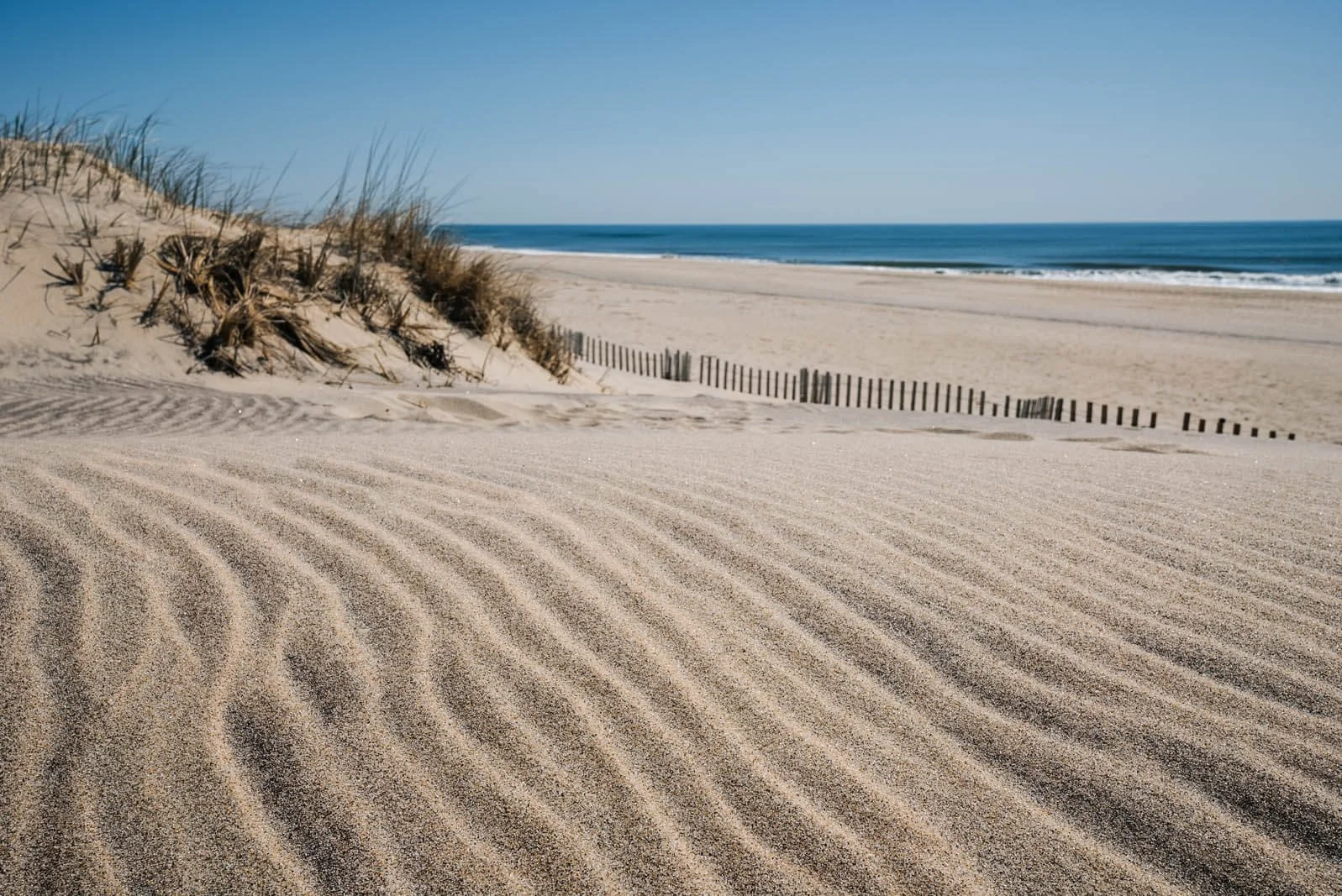 Empty sandy beach with rippled sand, dunes with grass, and blue ocean in the background.