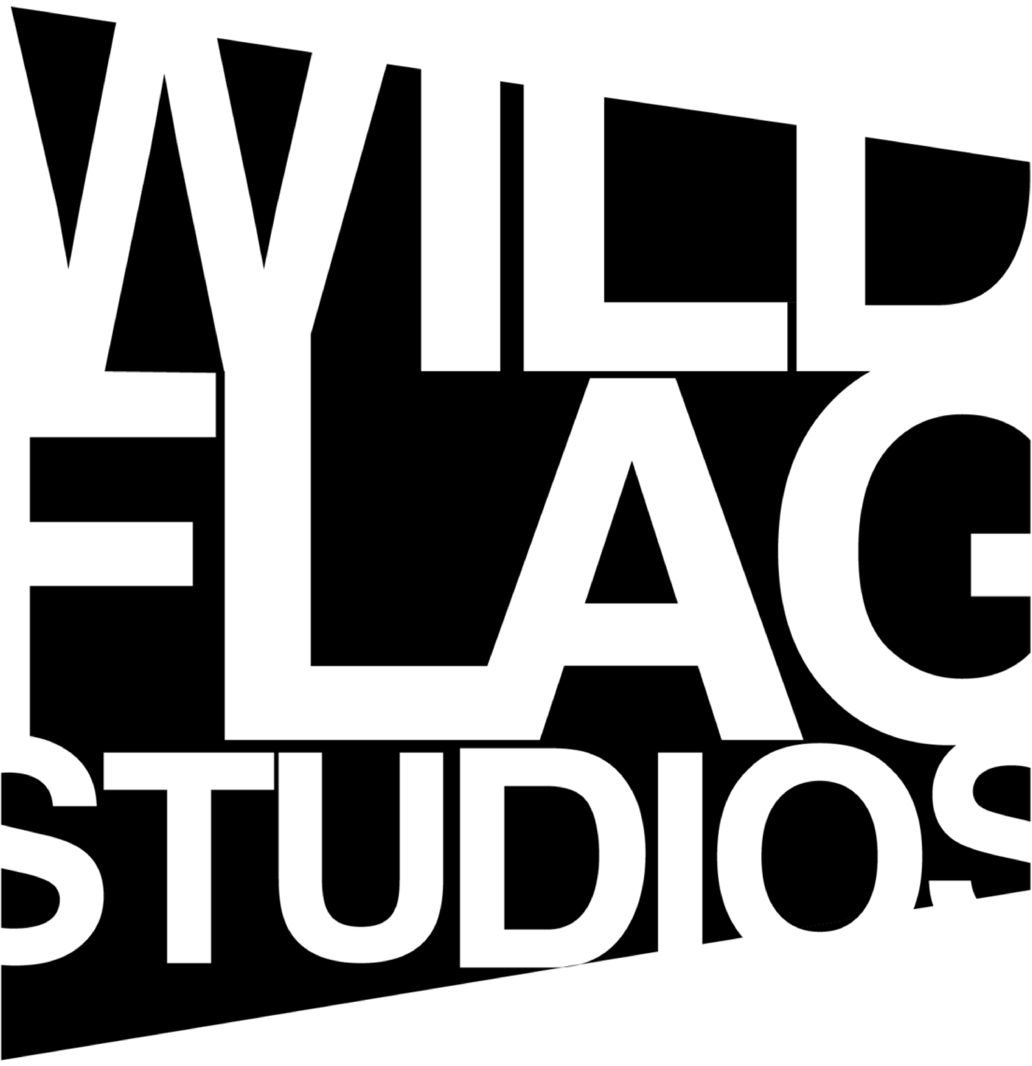 Les Studios Wild Flag
