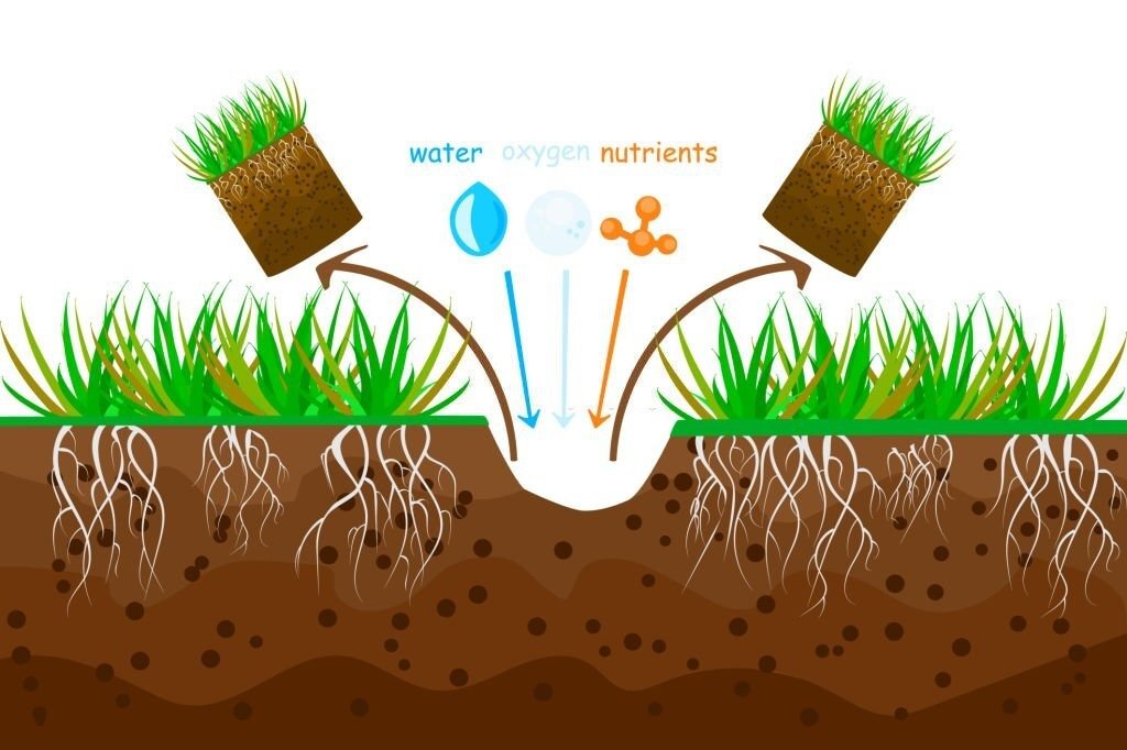 What aeration is.