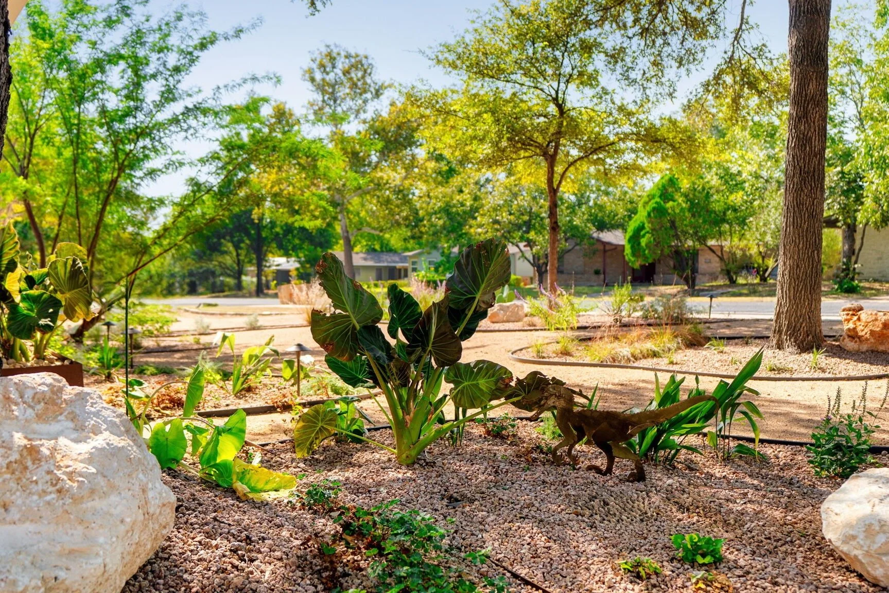 Austin TX Irrigation Installation Advice for the Cold Weather