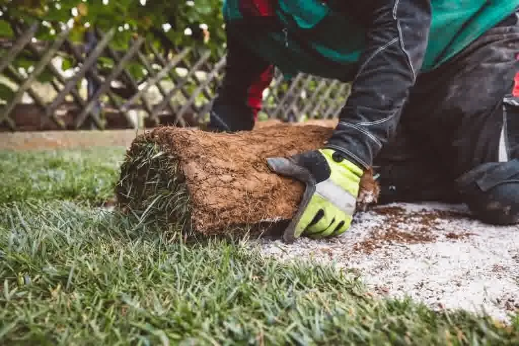 Water Your Sod Right: The First 14 Days Matter Most
