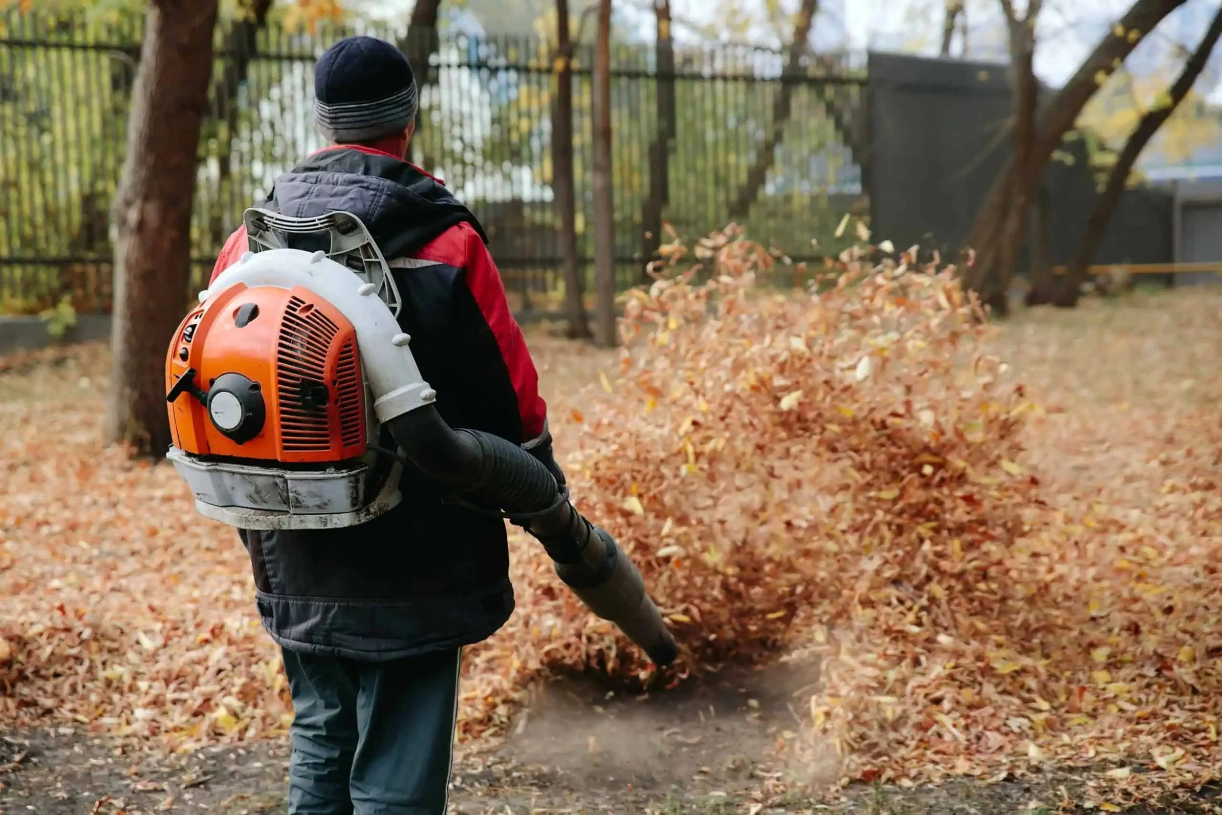 The Importance of Fall Cleanups