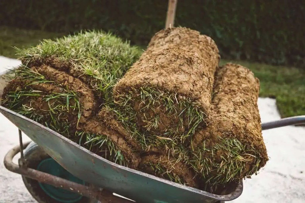 How It’s Made: Sod Edition
