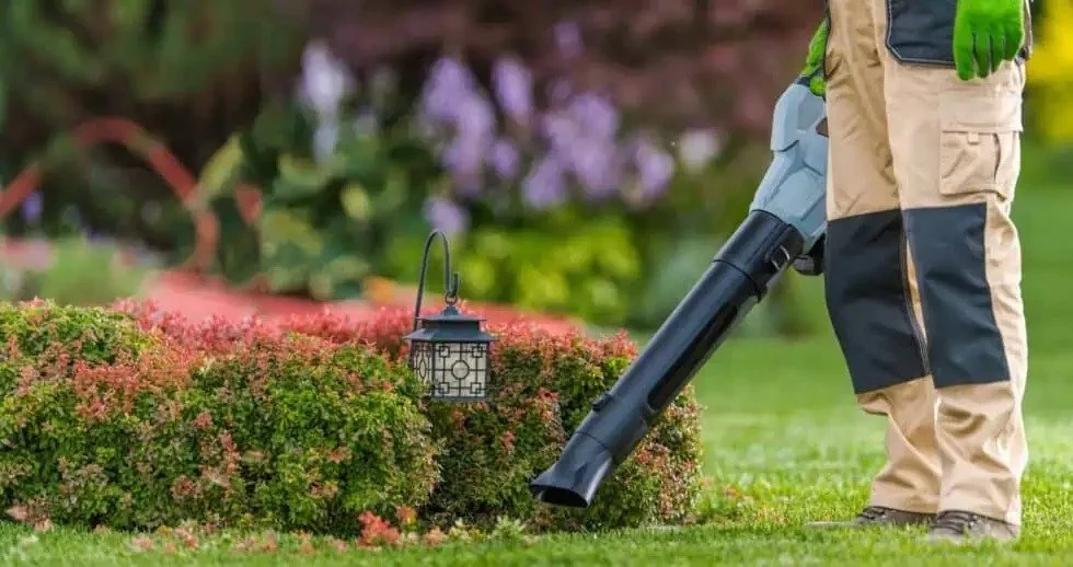 Fall Cleanup Checklist for a Pristine Hardscape