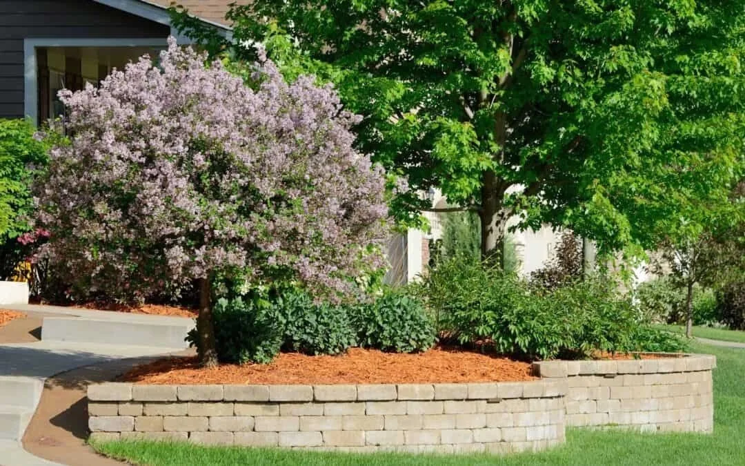 Seasonal Landscaping Ideas for Driveways