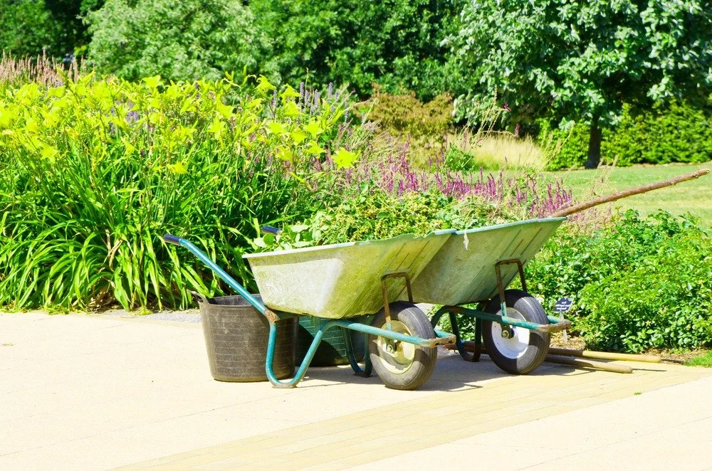 Clean Up Before Your Landscape Glow Up