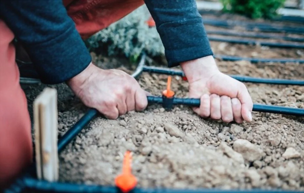 Parched? Try Drip Irrigation