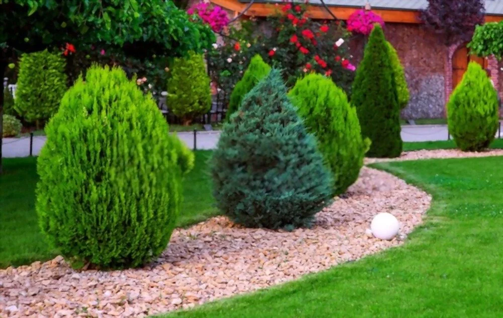 Mulch is Mulch More Useful Than You Realize