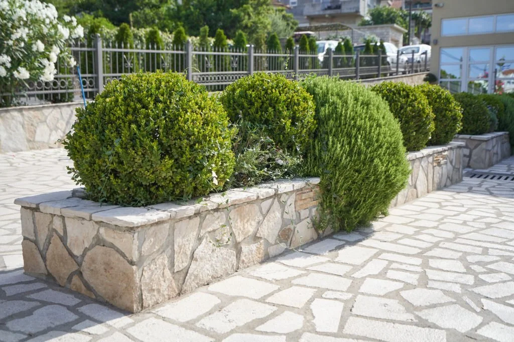 A low stone retaining wall with trimmed boxwoods and a paved walkway creates a clean, modern landscape design with structure.